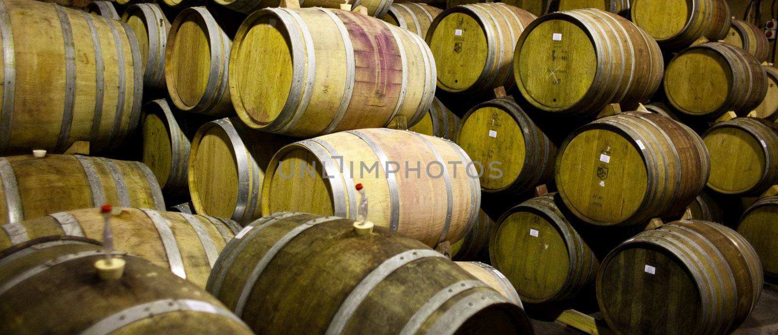 Wine barrels by edan