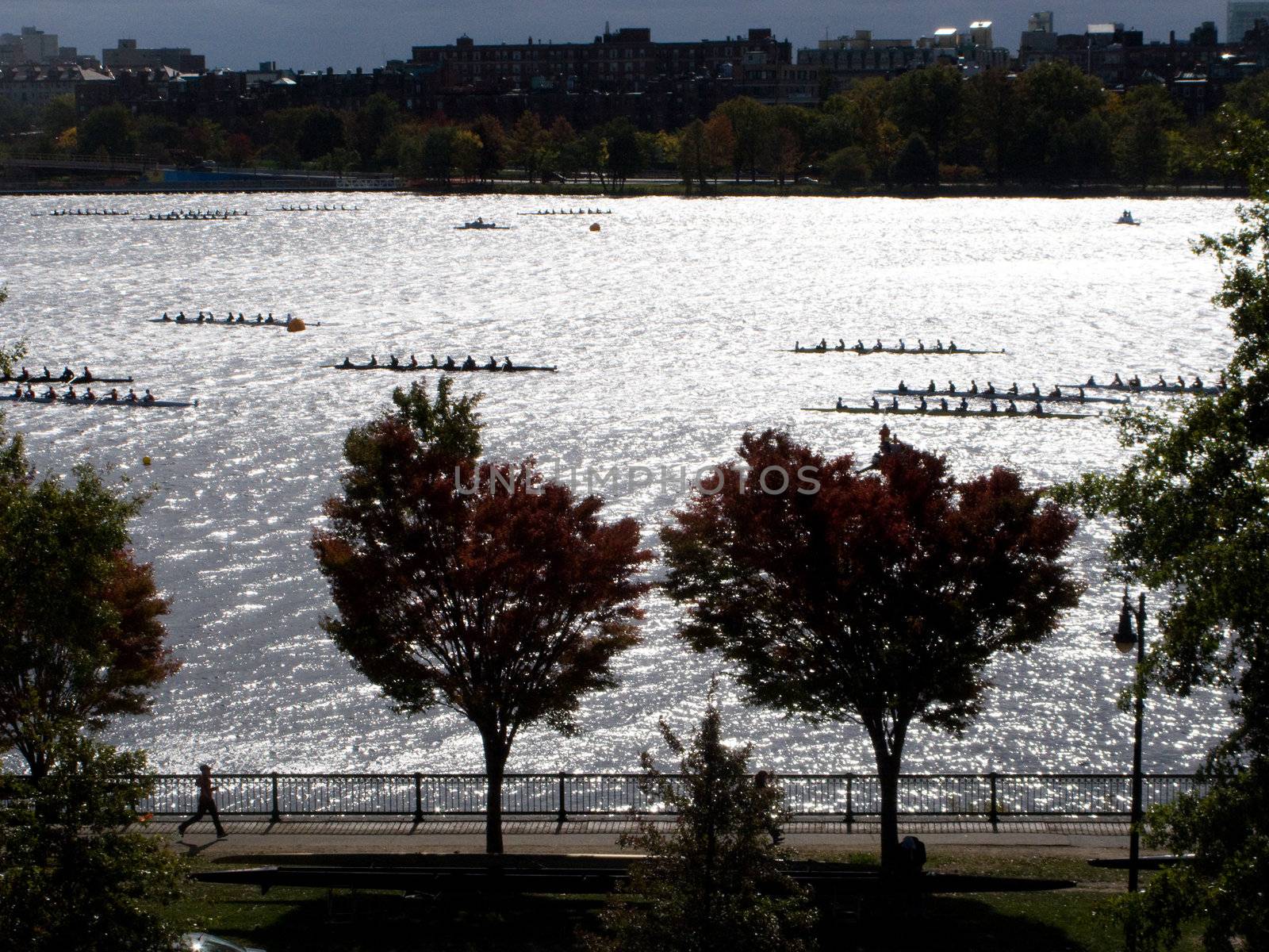 Charles River Rowers by edan