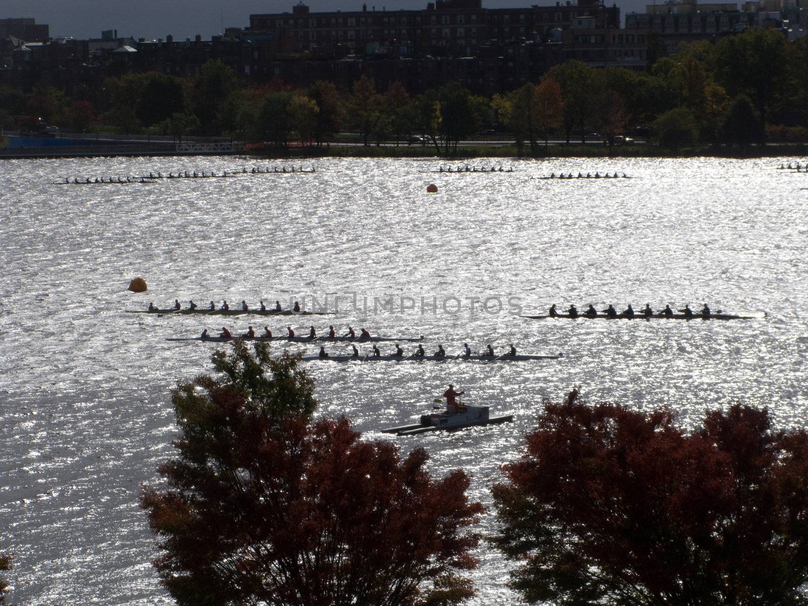Rowers during the Head of the Charles Regatta