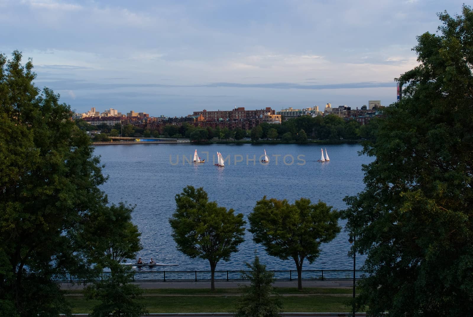 Sailboats and a crew shell on the Charles River