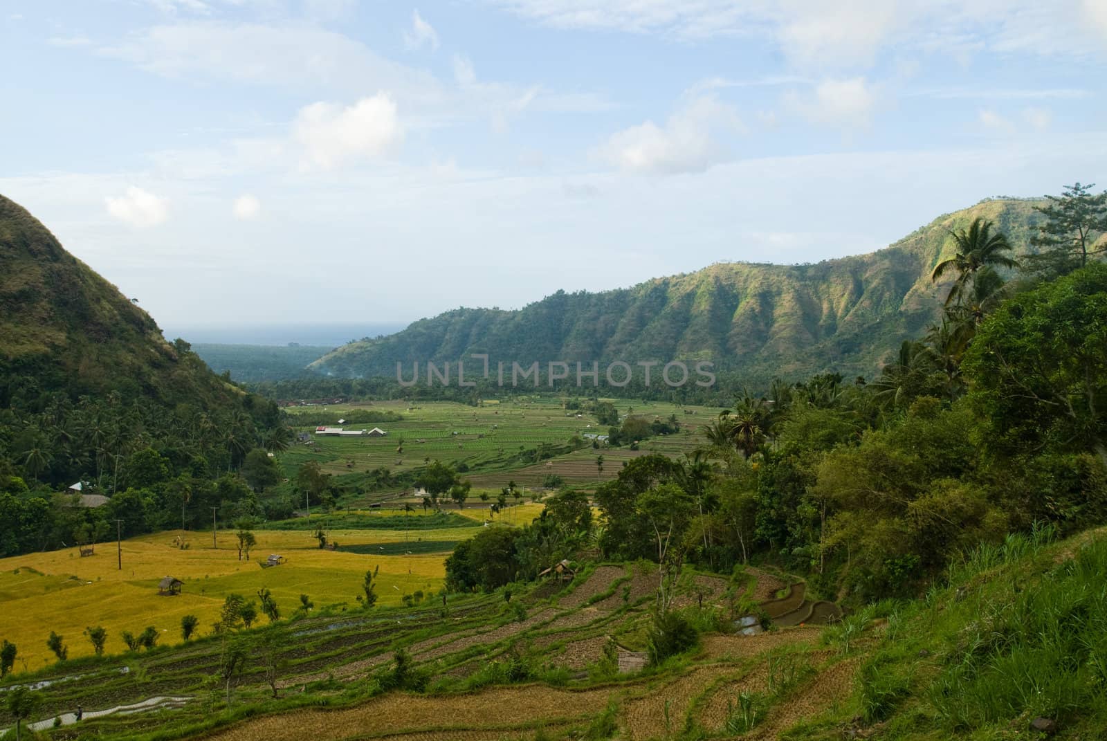 Balinese landscape with terraced rice paddies and hills