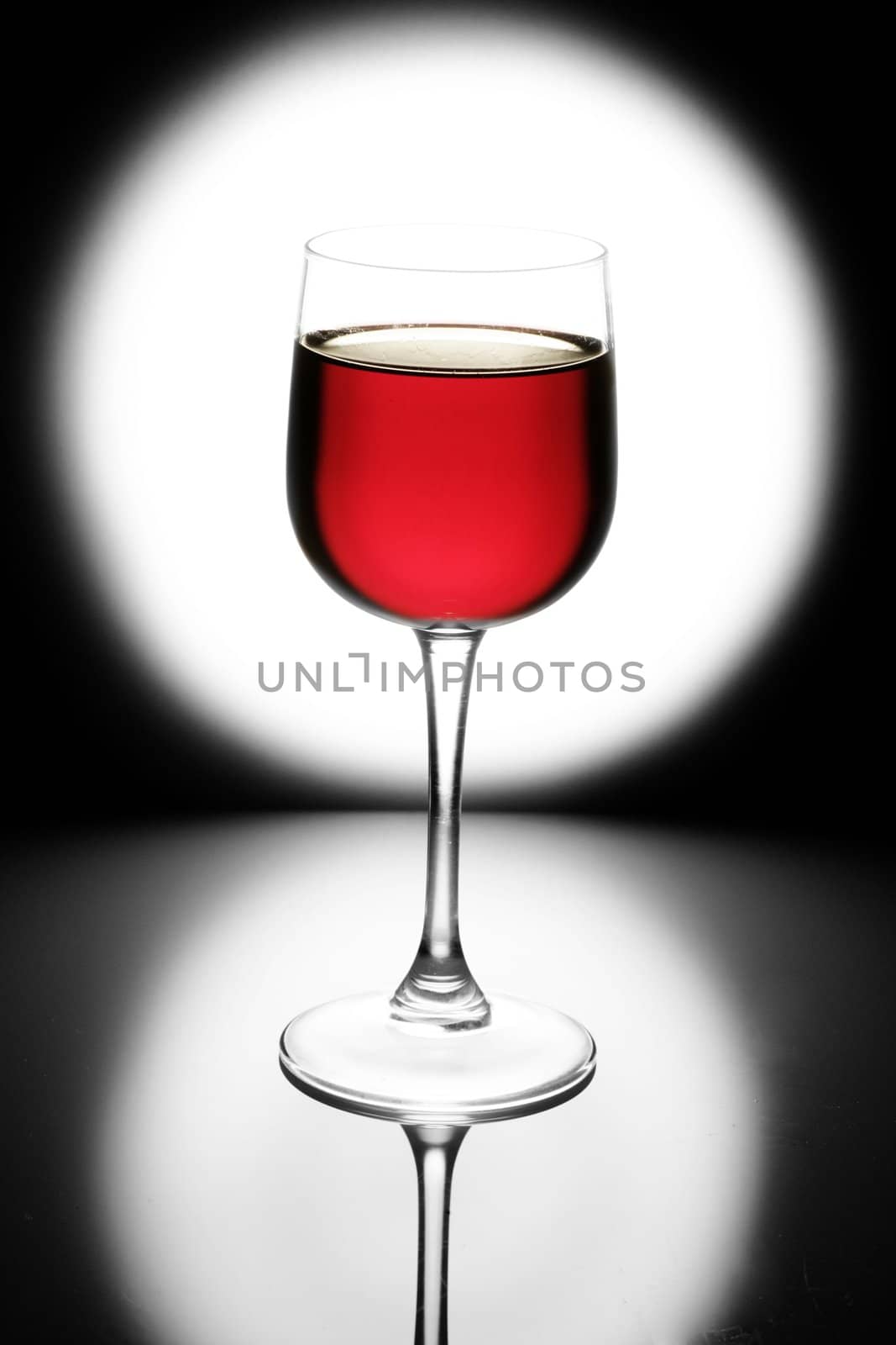 Wine collection  Red wine in glass studio shot