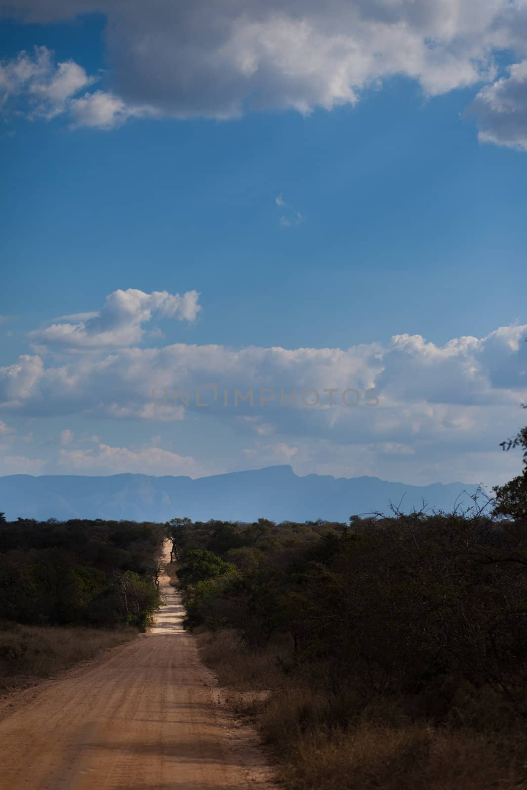 Straight savannah road going off into the distance