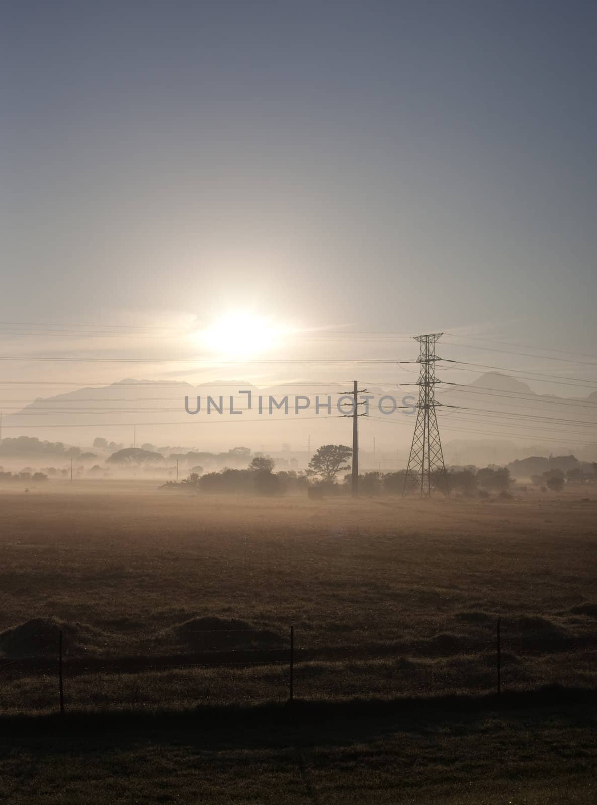 Fields and power lines by edan