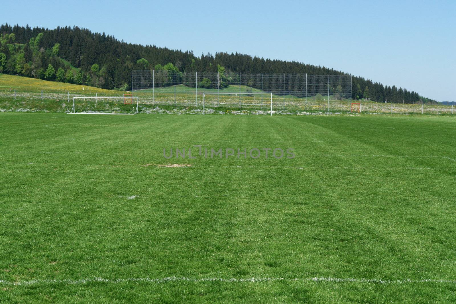 soccer field close-ups of markings on a sunny day