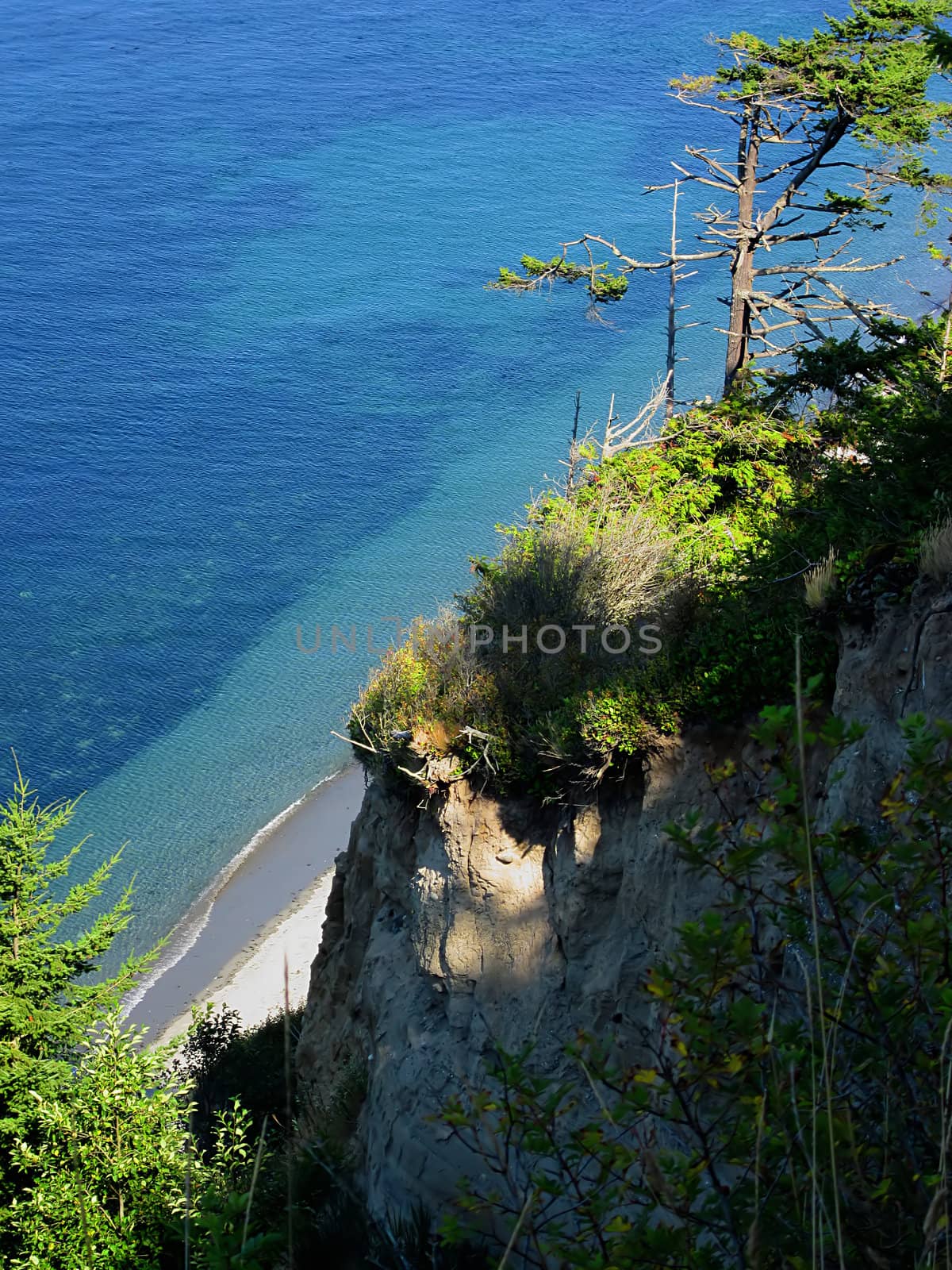 A photograph of scenery near water.