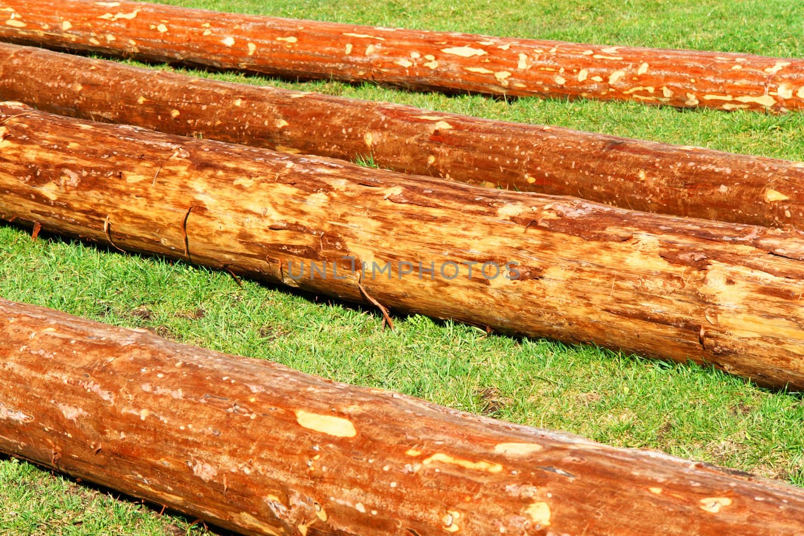 Detail close up of  a wood surface