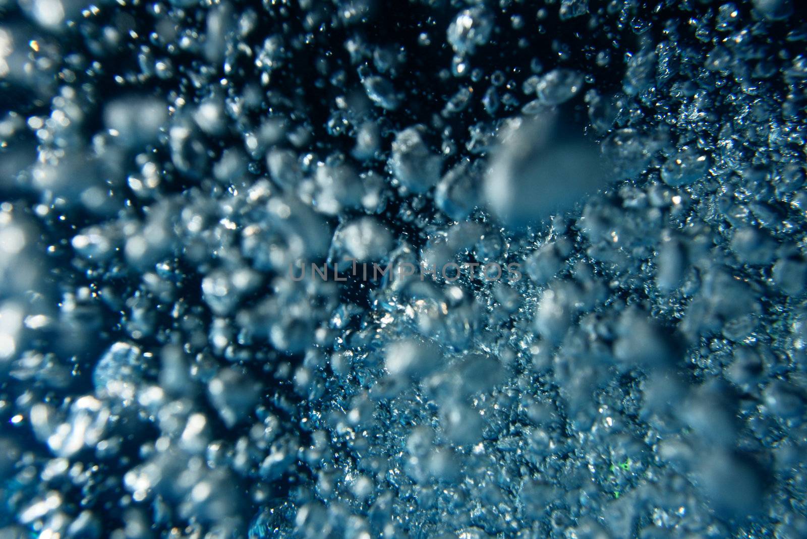 divers in the red sea deep diving