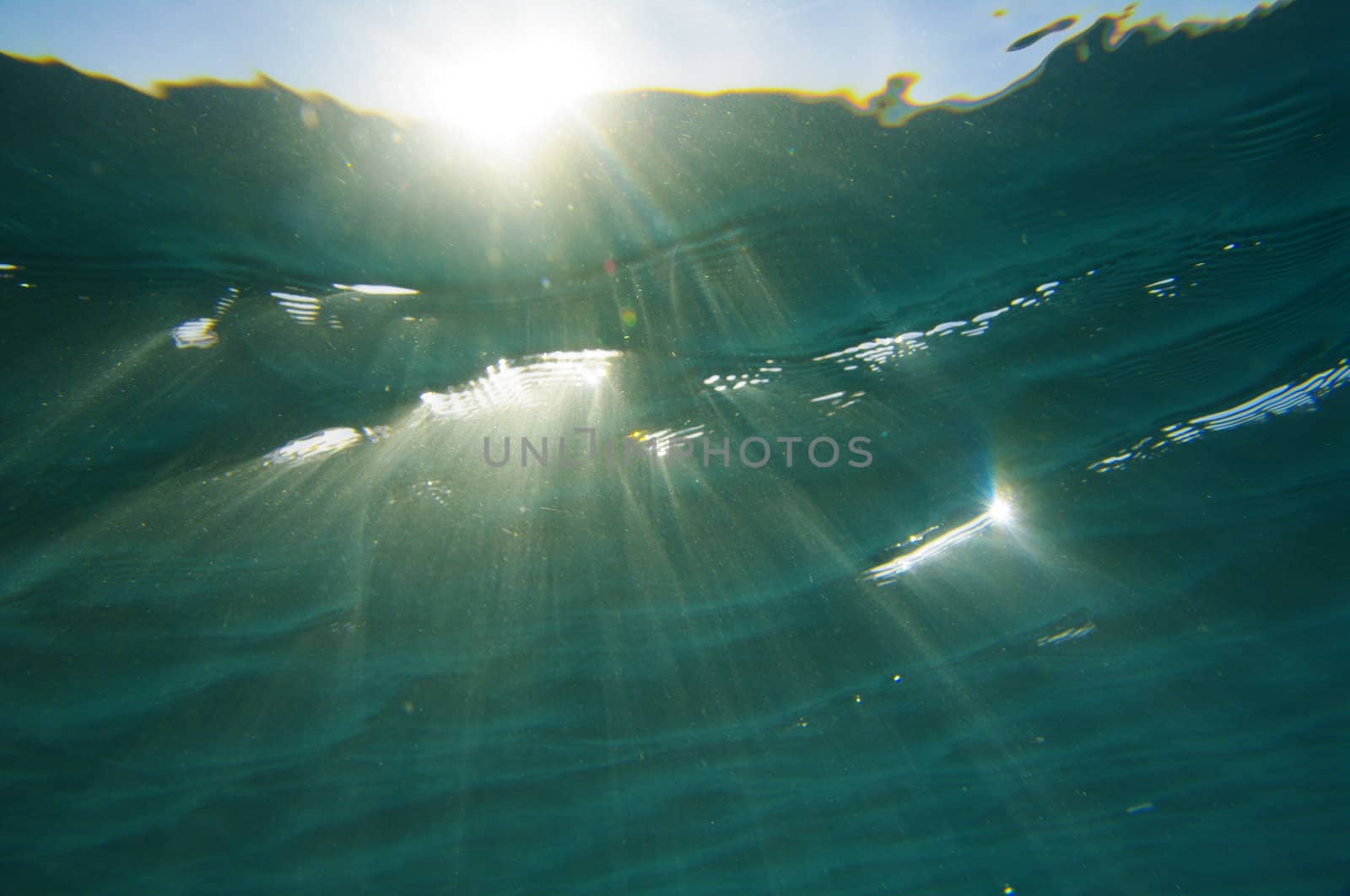 Water rays by yucas