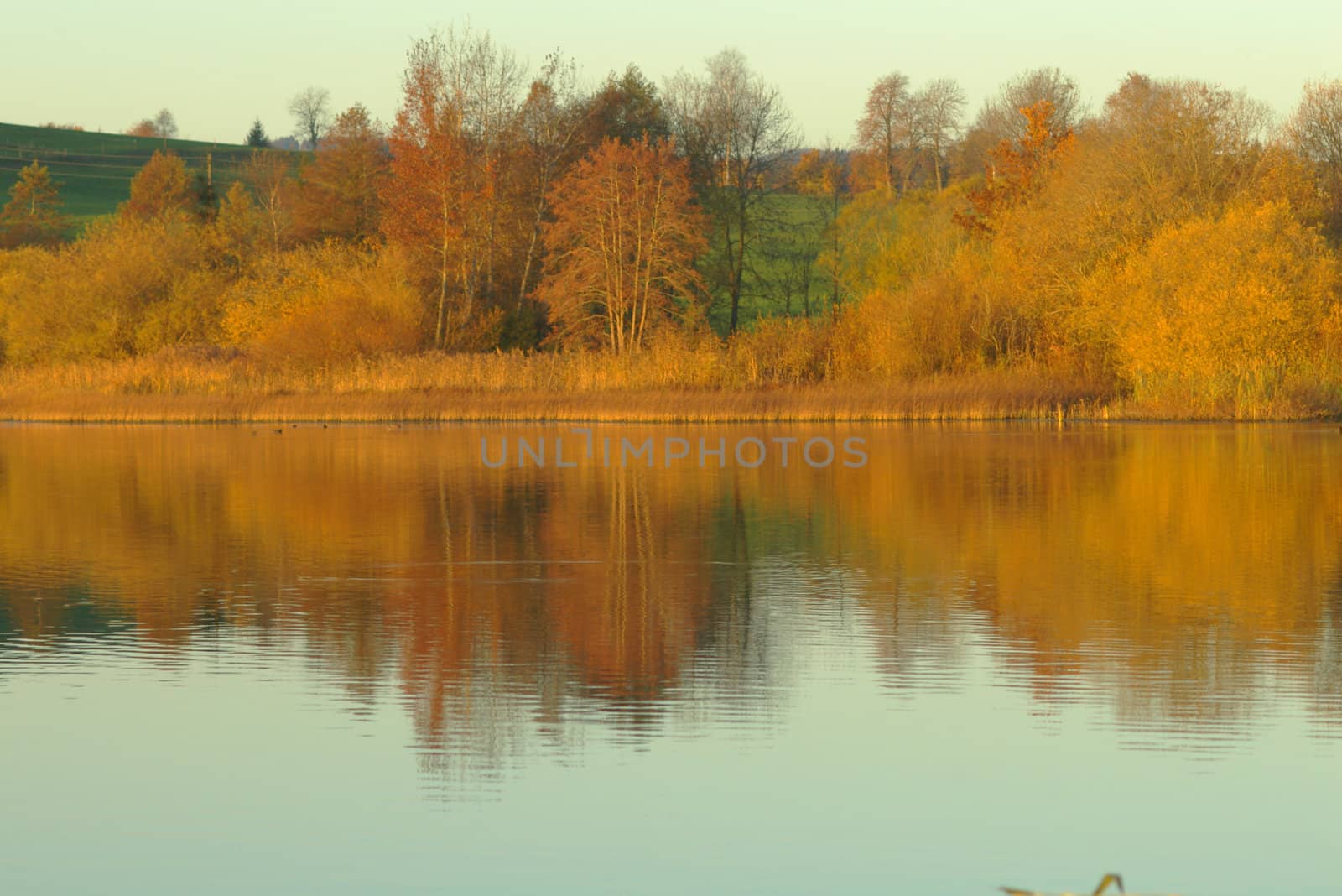 beautiful autumn scene