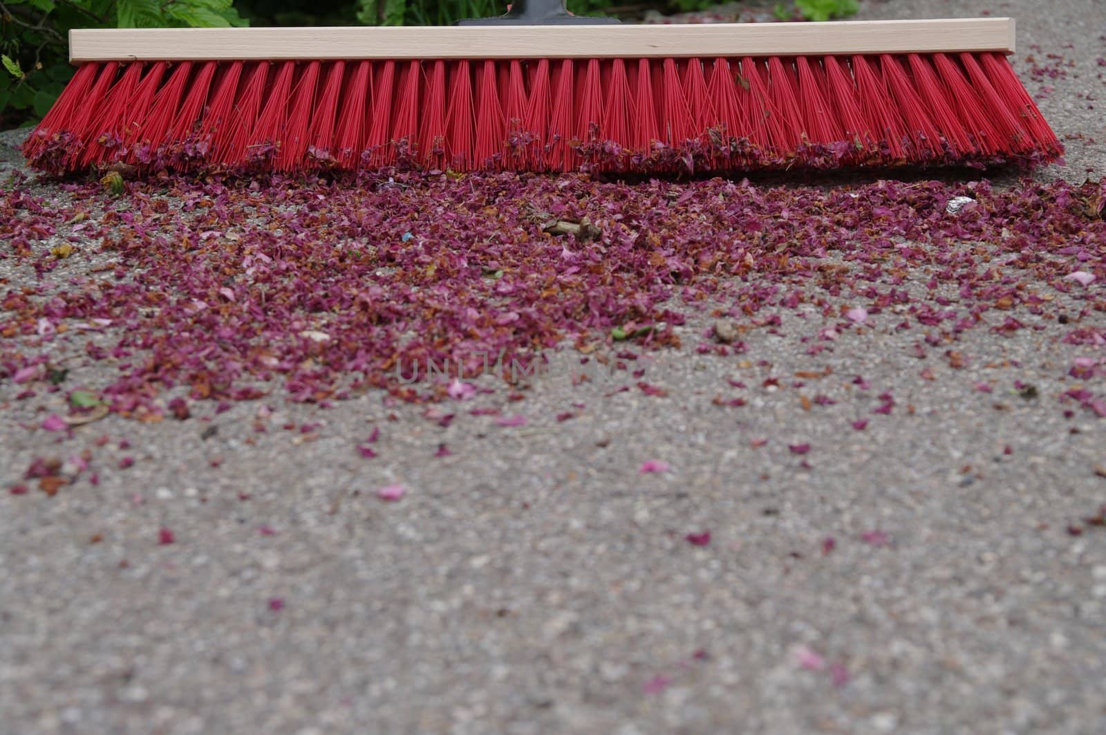 sweeping the sidewalk with a broom