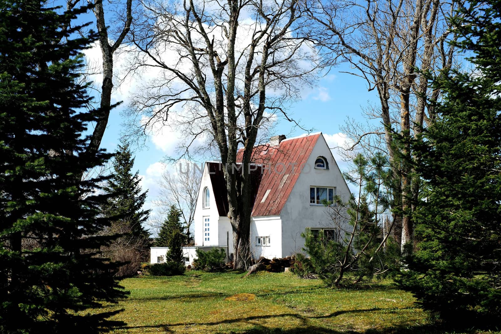 The house and forest by andrei_kolyvanov