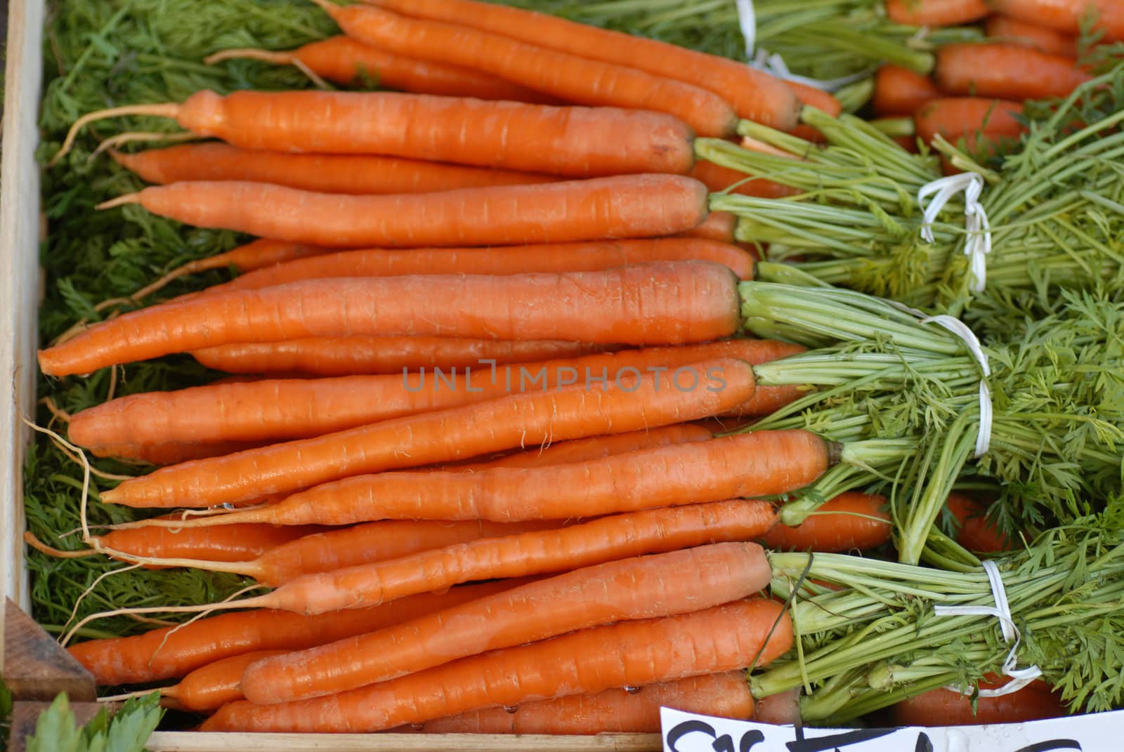 carrots by africa