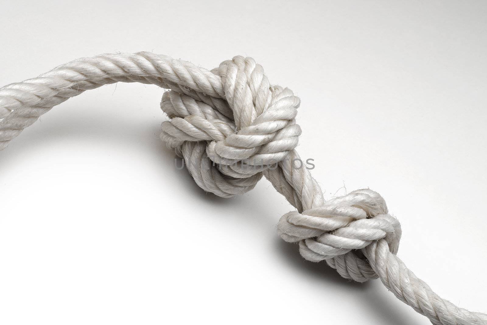 Rope with a knot on white background