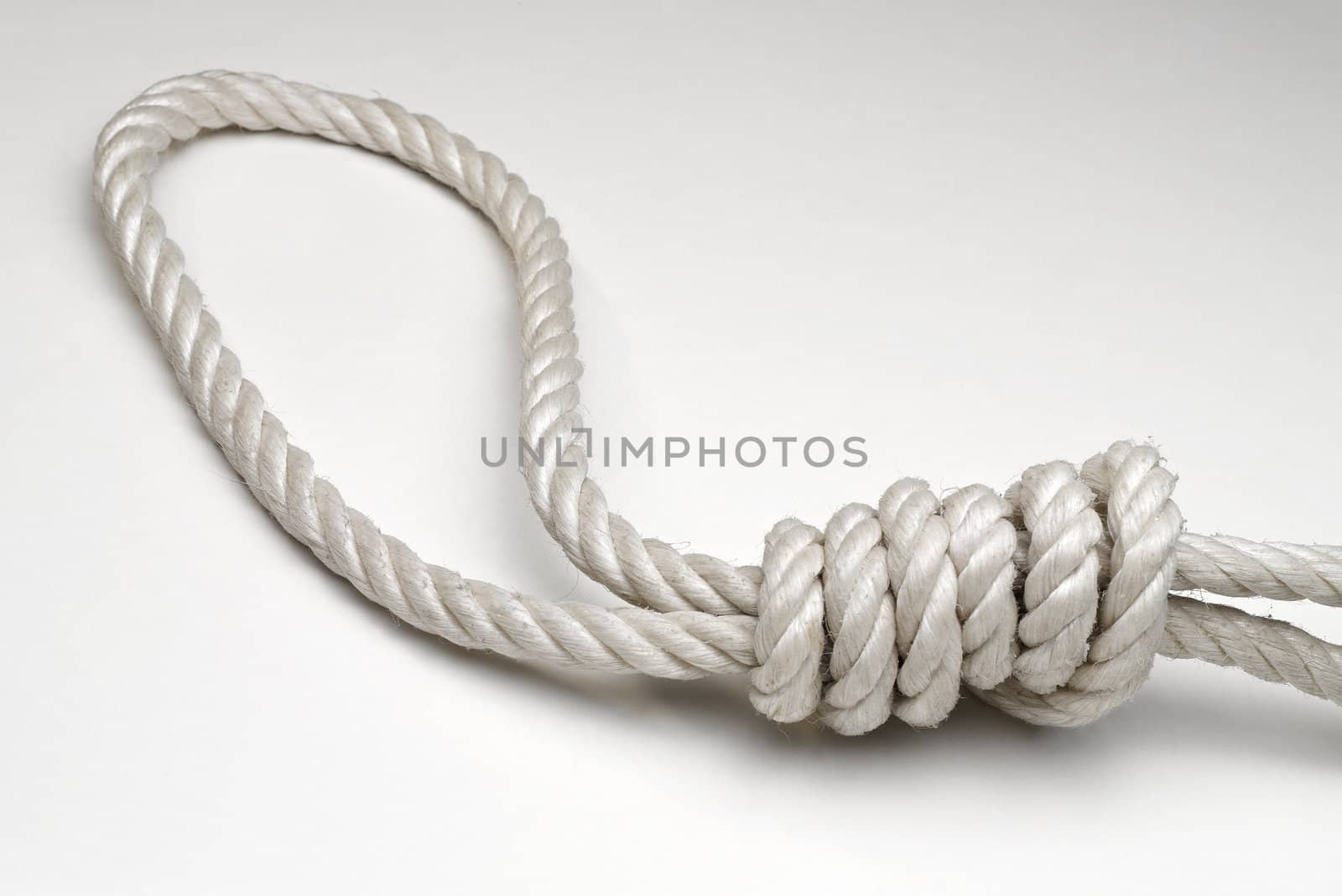 Rope with hangman's noose on white background