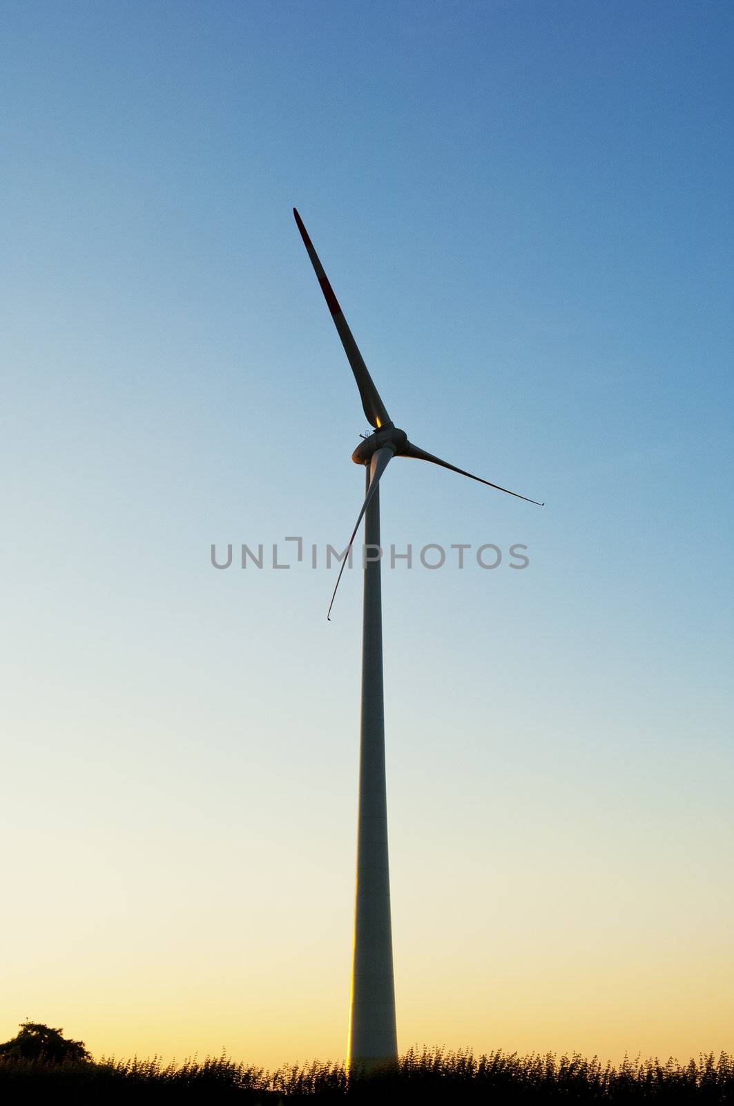 Silhouette of a Electric wind turbines on sunset background by pbombaert