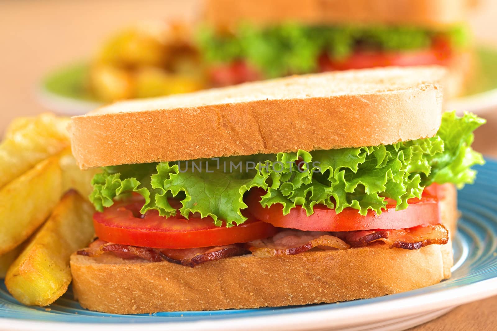 Fresh homemade BLT (bacon lettuce and tomato) sandwich with French fries on blue plate (Selective Focus, Focus on the front of the sandwich) 