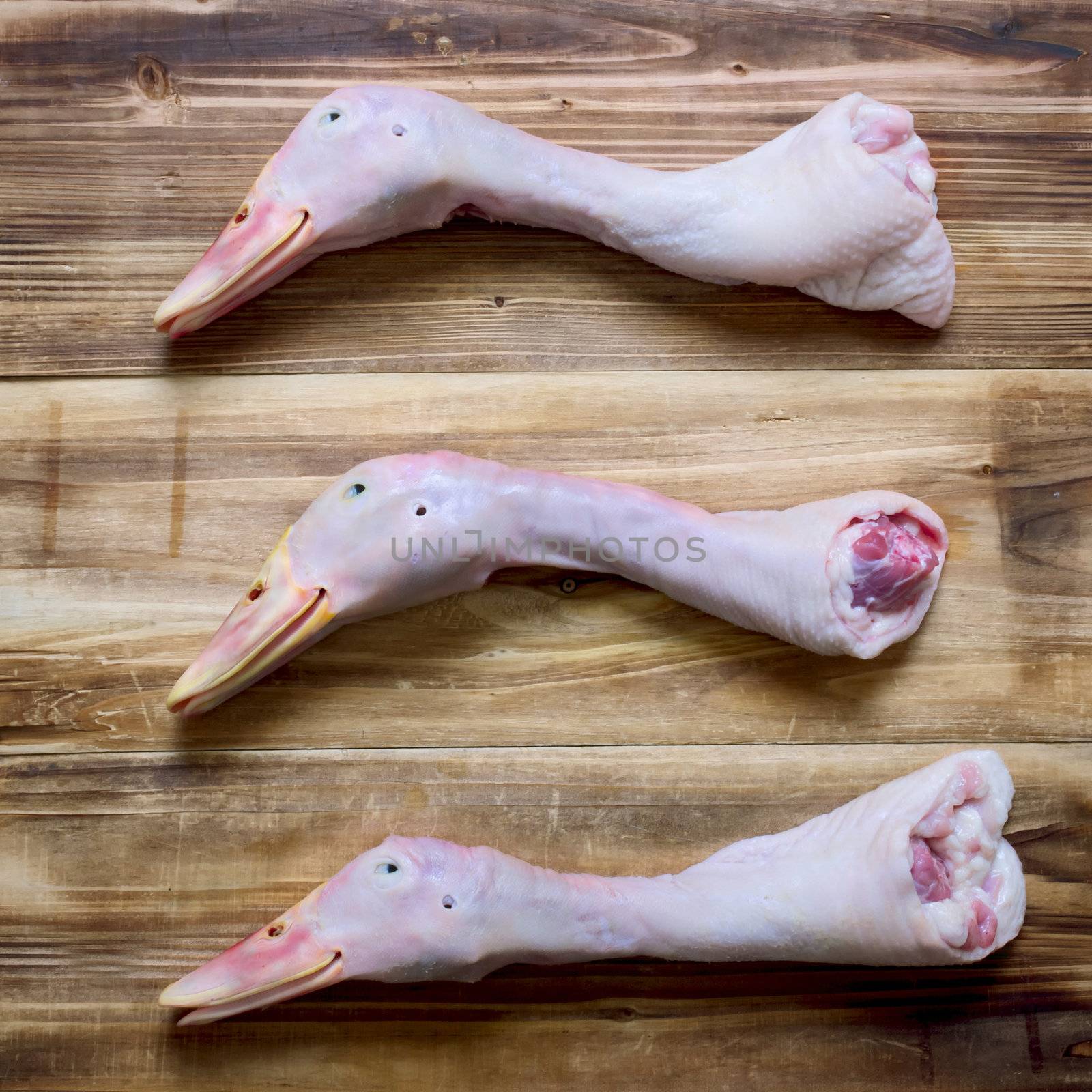 close up of duck heads on table