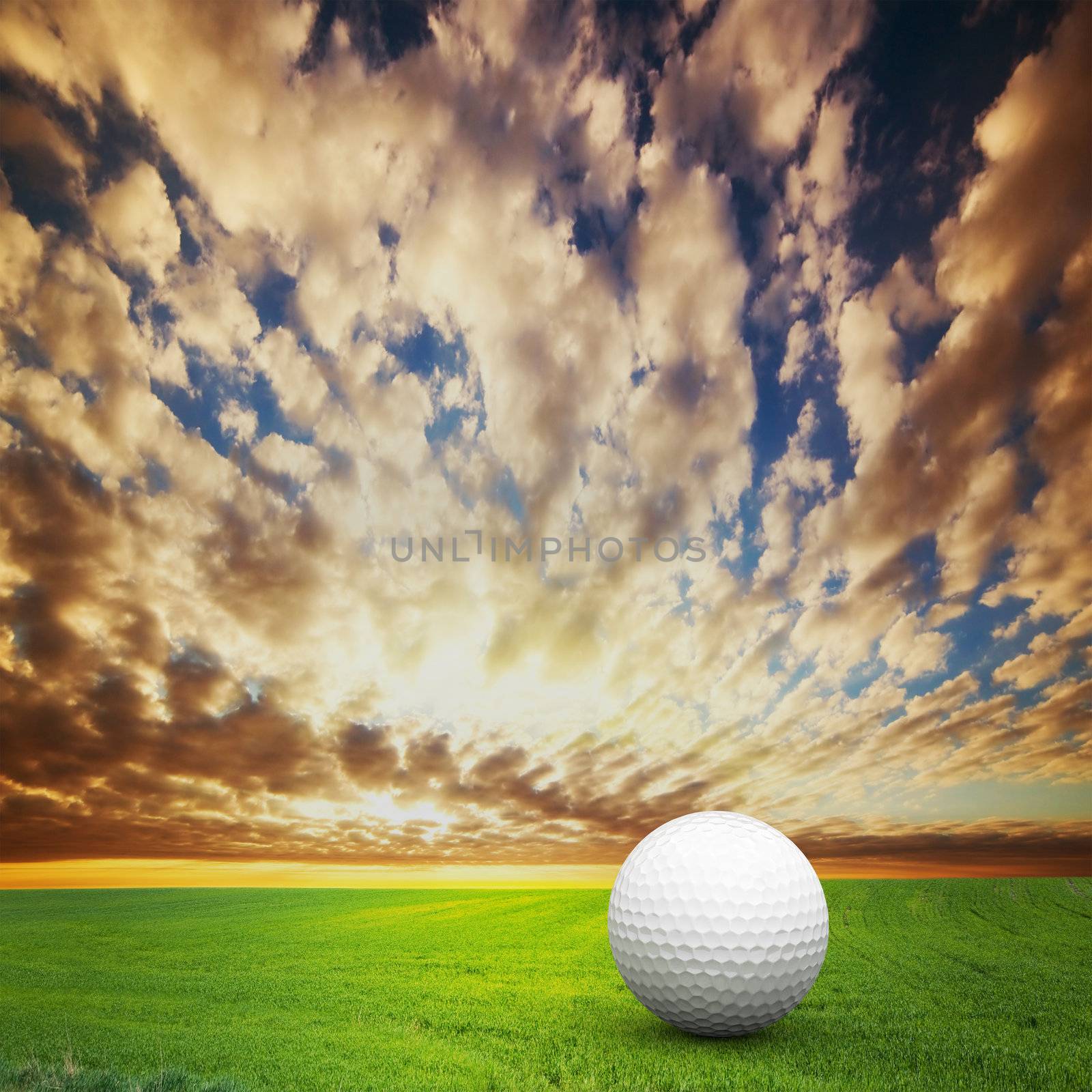 Playing golf. Ball on golf field at sunset by photocreo