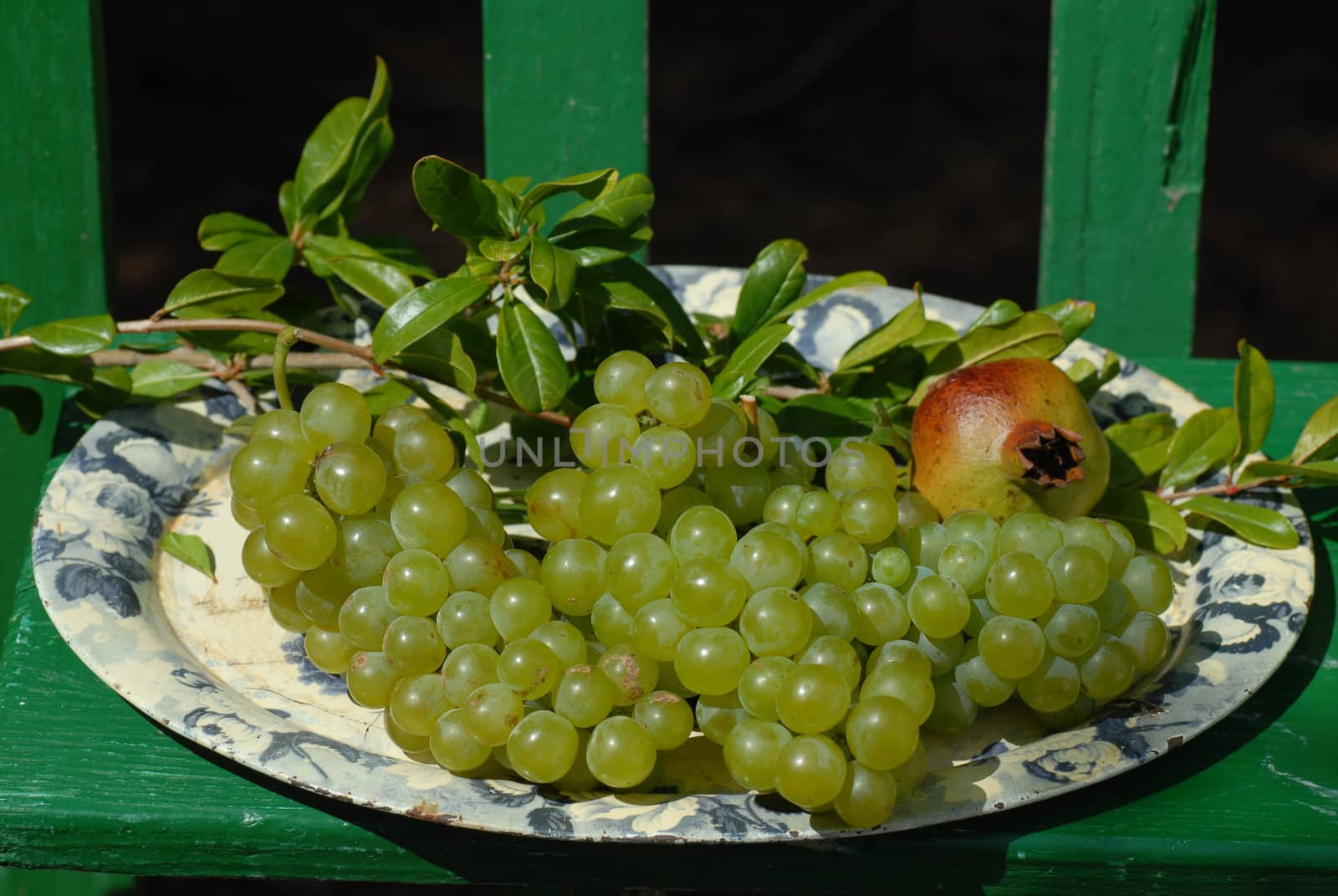 grapes by africa