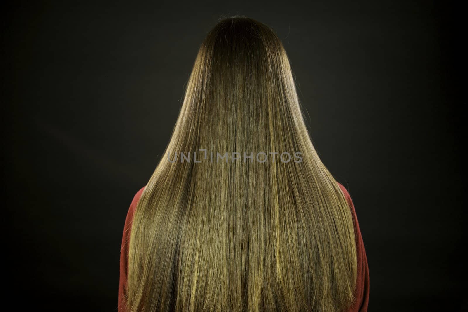 Horizontal gorgeous strait long brunette hair by fmarsicano
