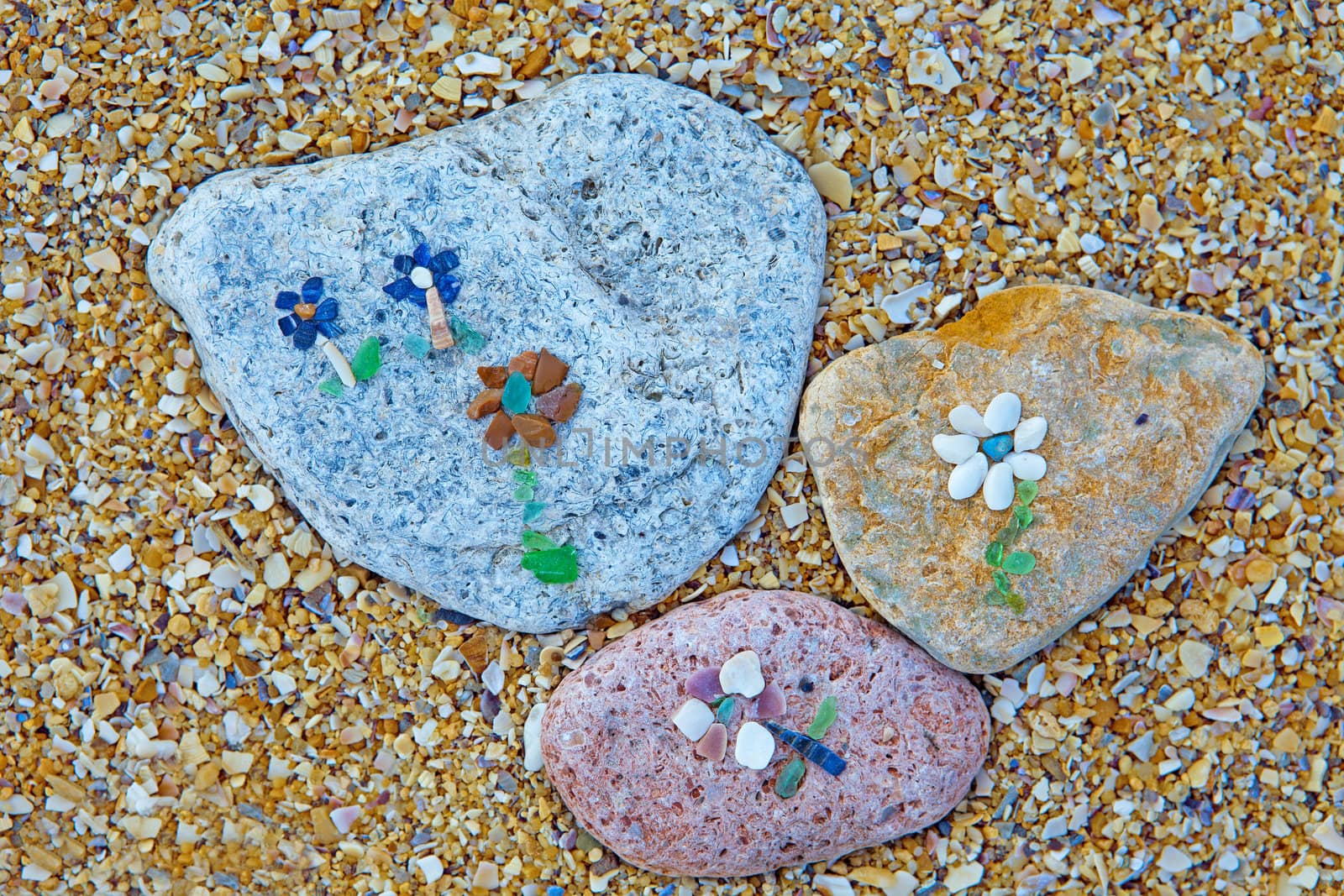 Flowers made ​​of shells on the beach