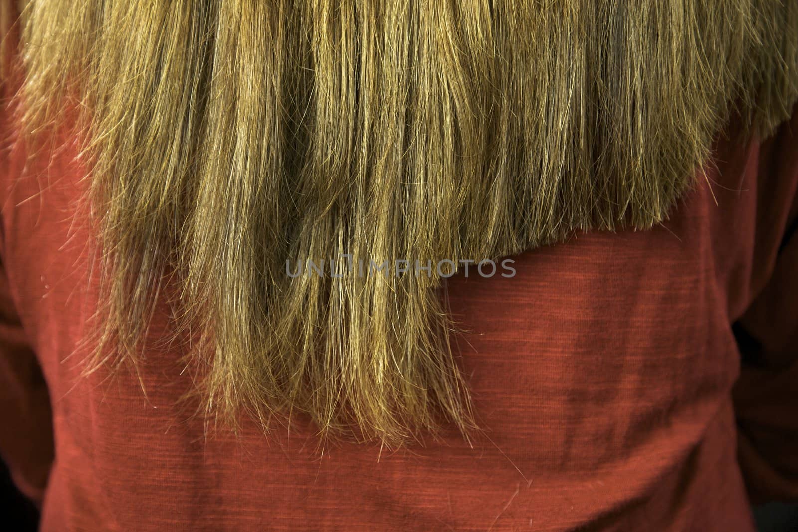 Long hair after some cutting extreme close up