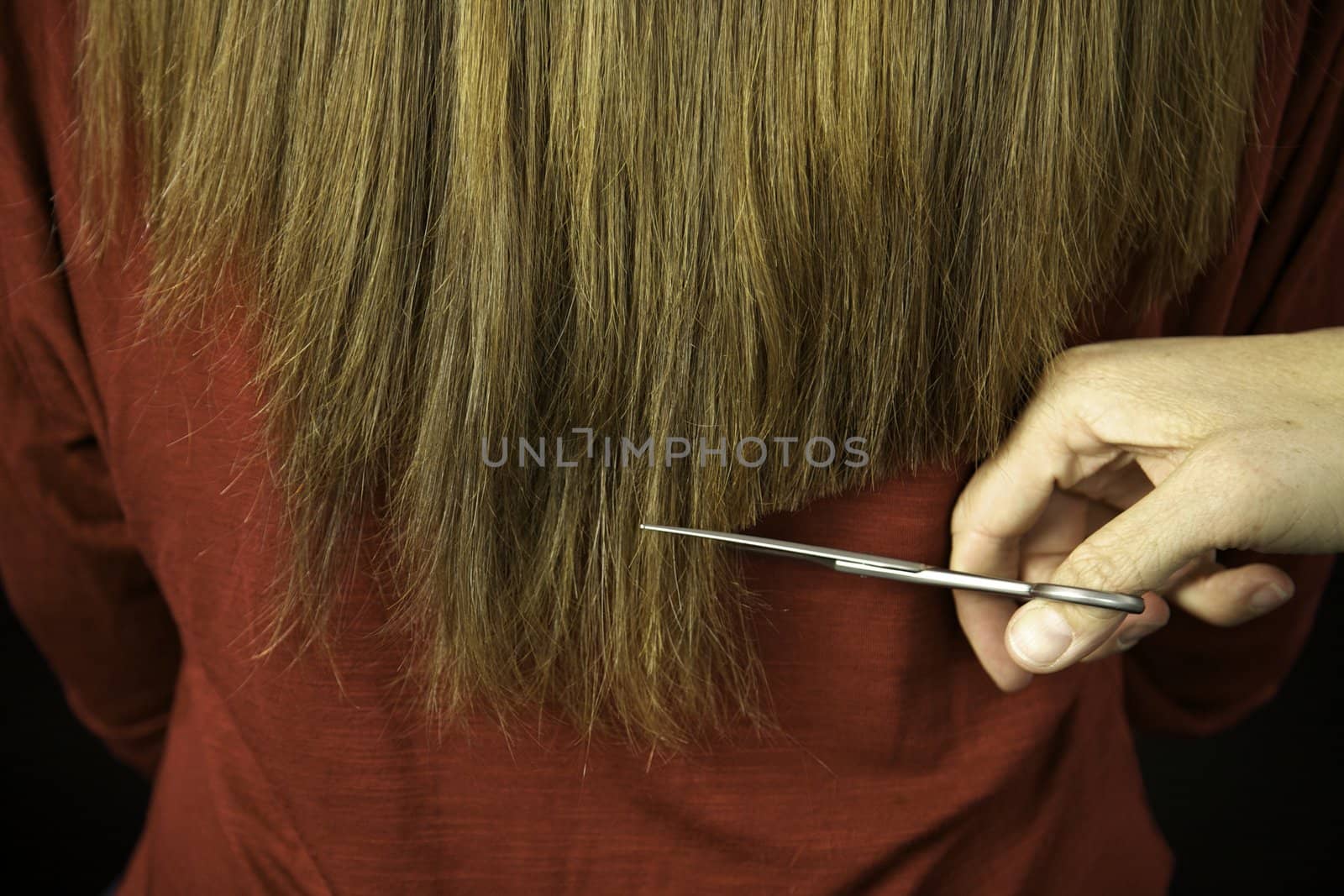 Long hair beeing cut with scissors by hairstylist by fmarsicano