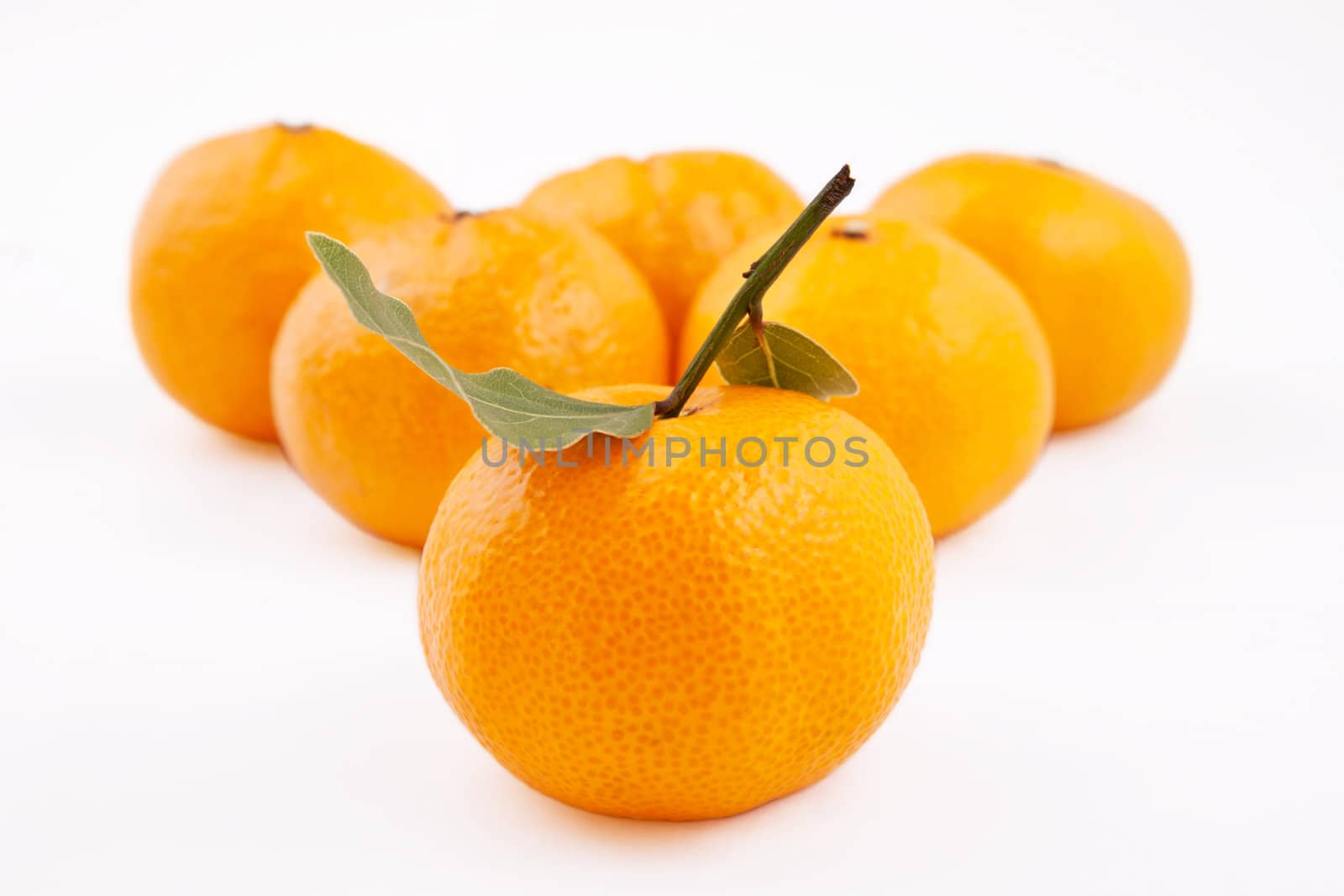 One big tahgerine and many tangerines on a back