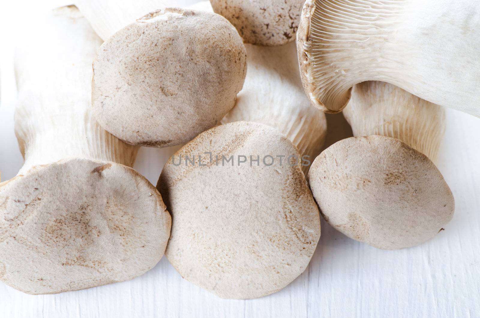 King oyster mushrooms on a white wooden table