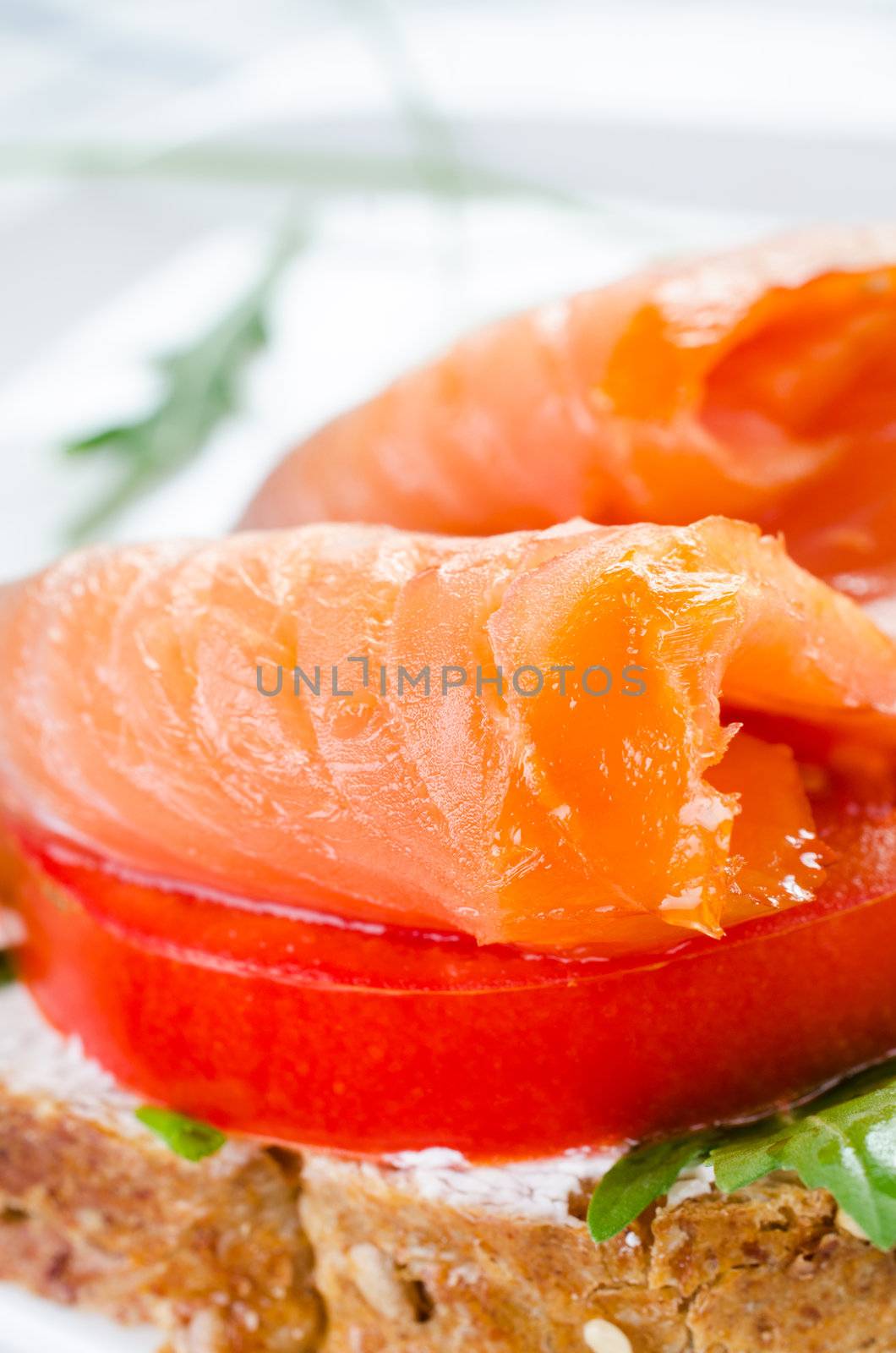 Sandwich with smoked salmon close up