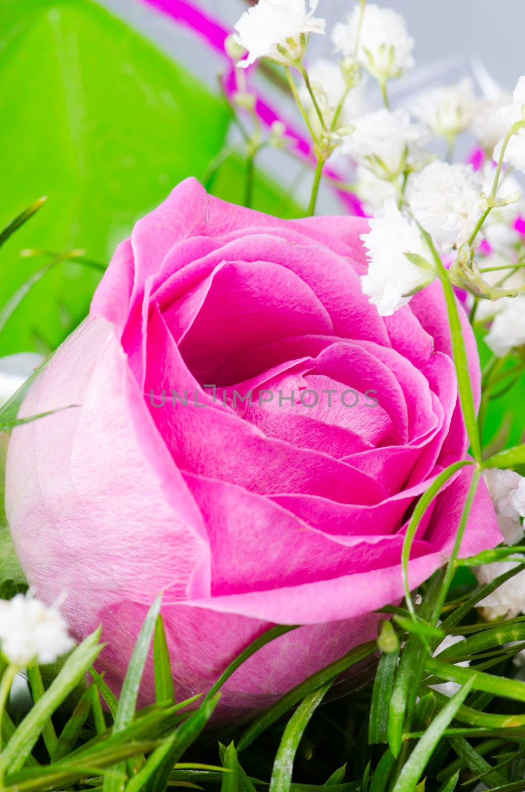 Rose flower in spring bouquet