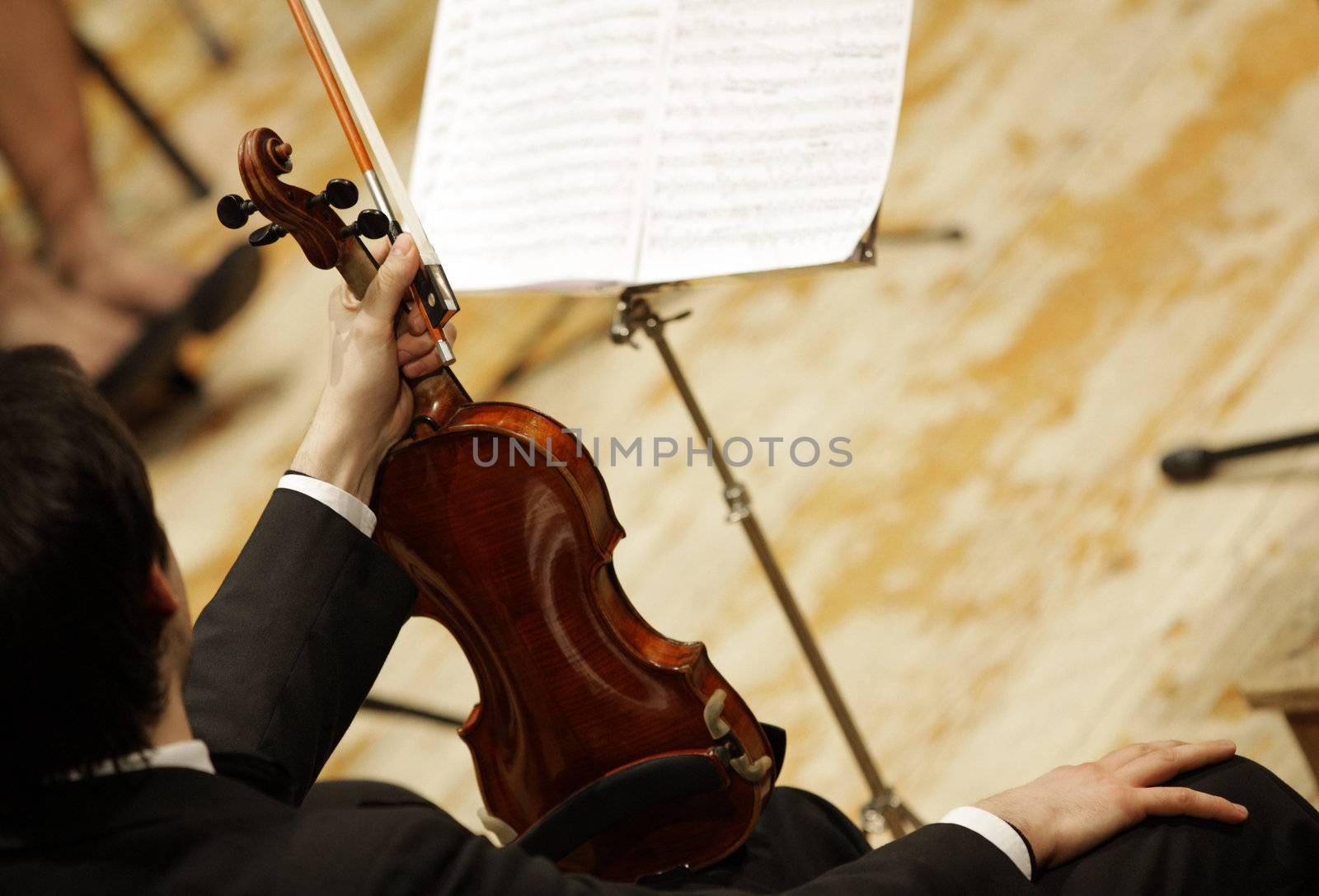 violinists during a classical concert music by stokkete