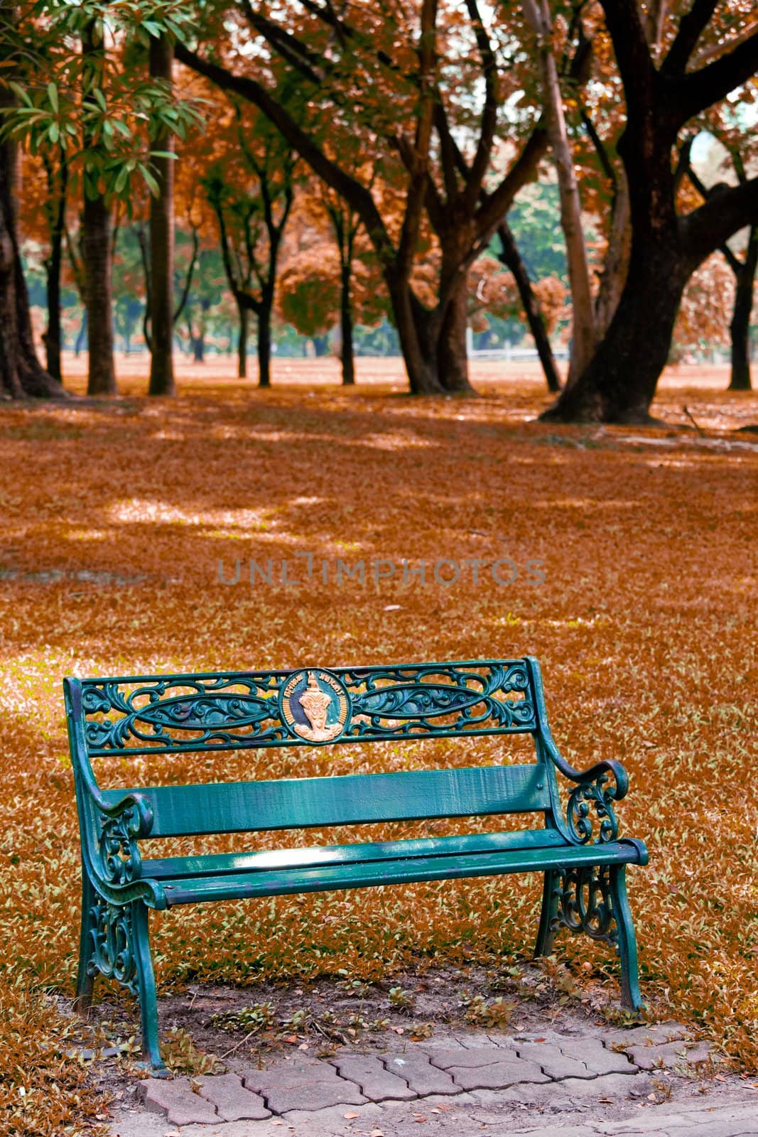 bench in the park of Thailand