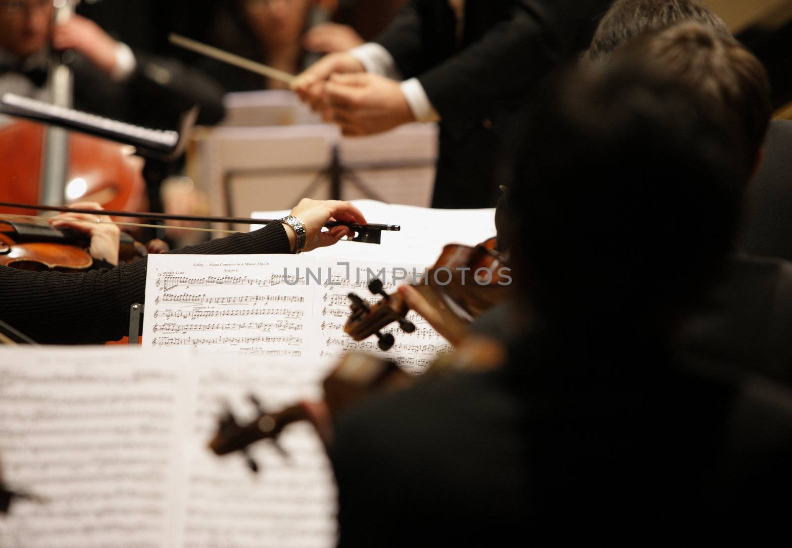 violinists during a concert by stokkete