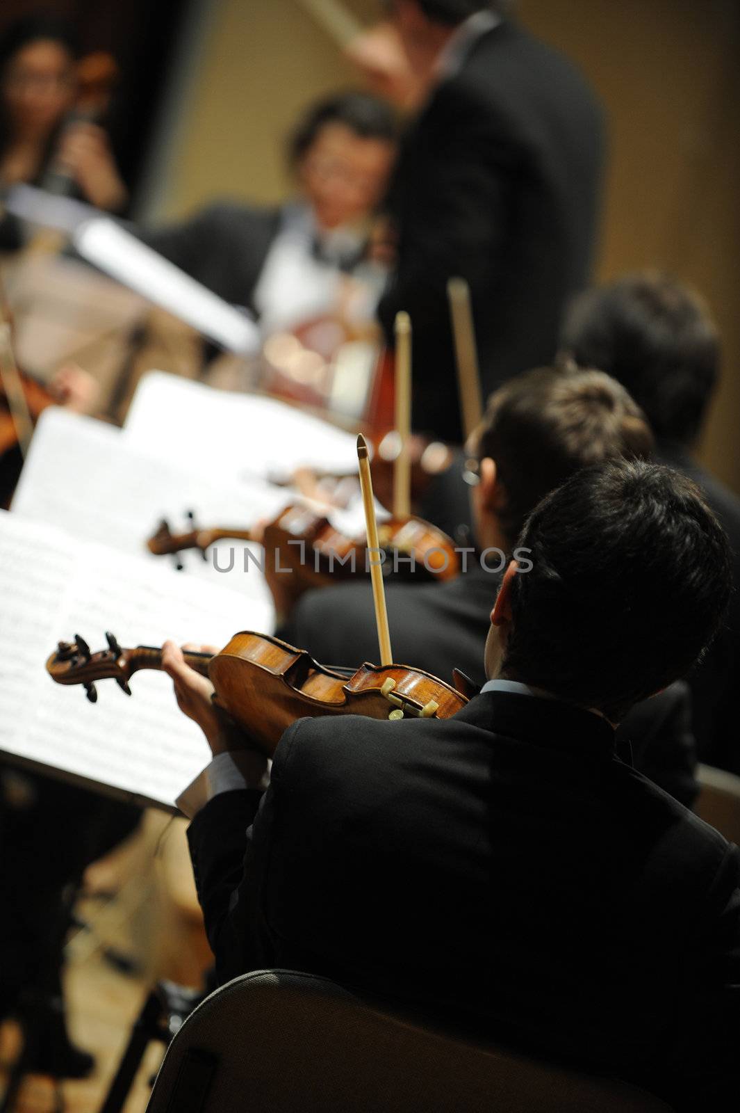 violinists during a classical concert music, music conductor on background