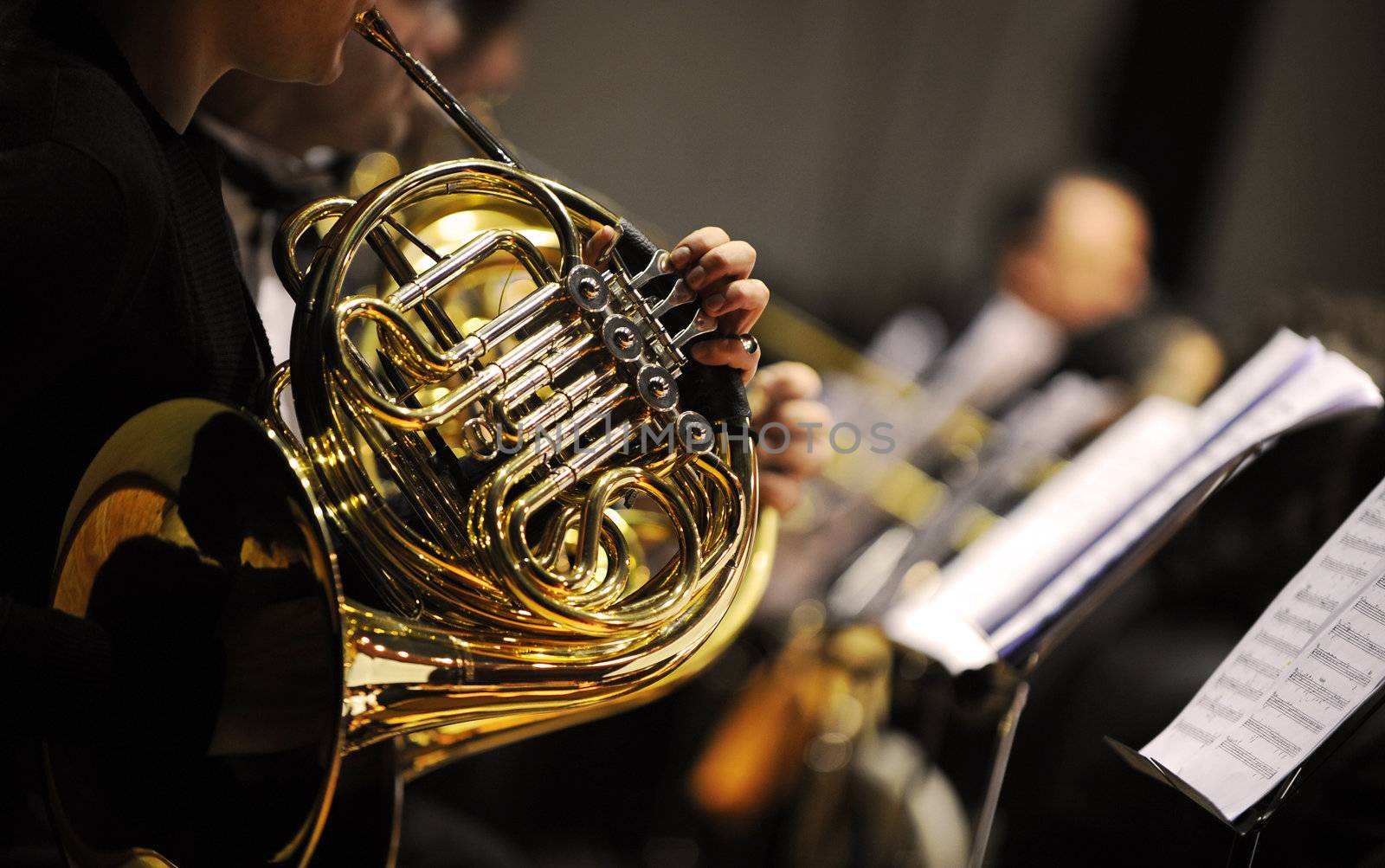 french horn during a classical concert music