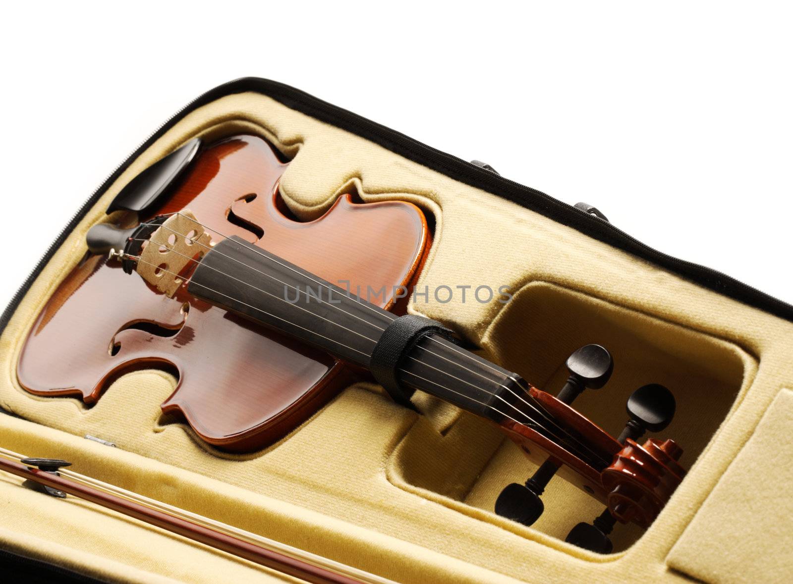 shot of a violin, close up