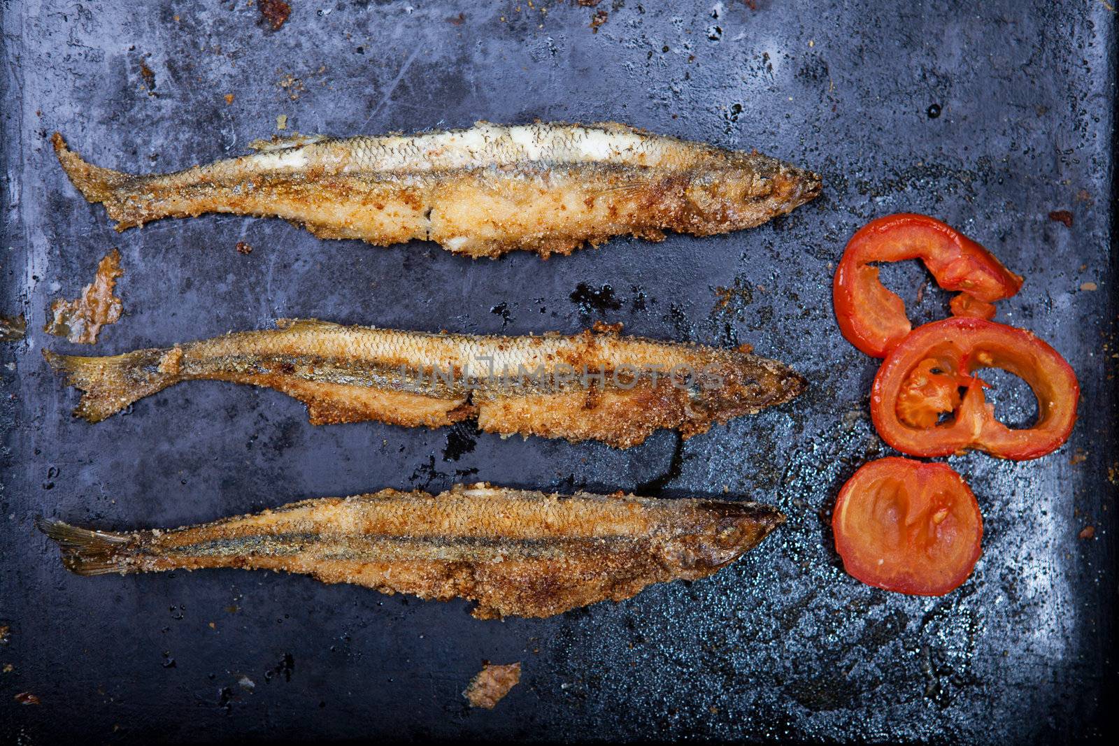 Tasty fish on a dish with baked tomatoes