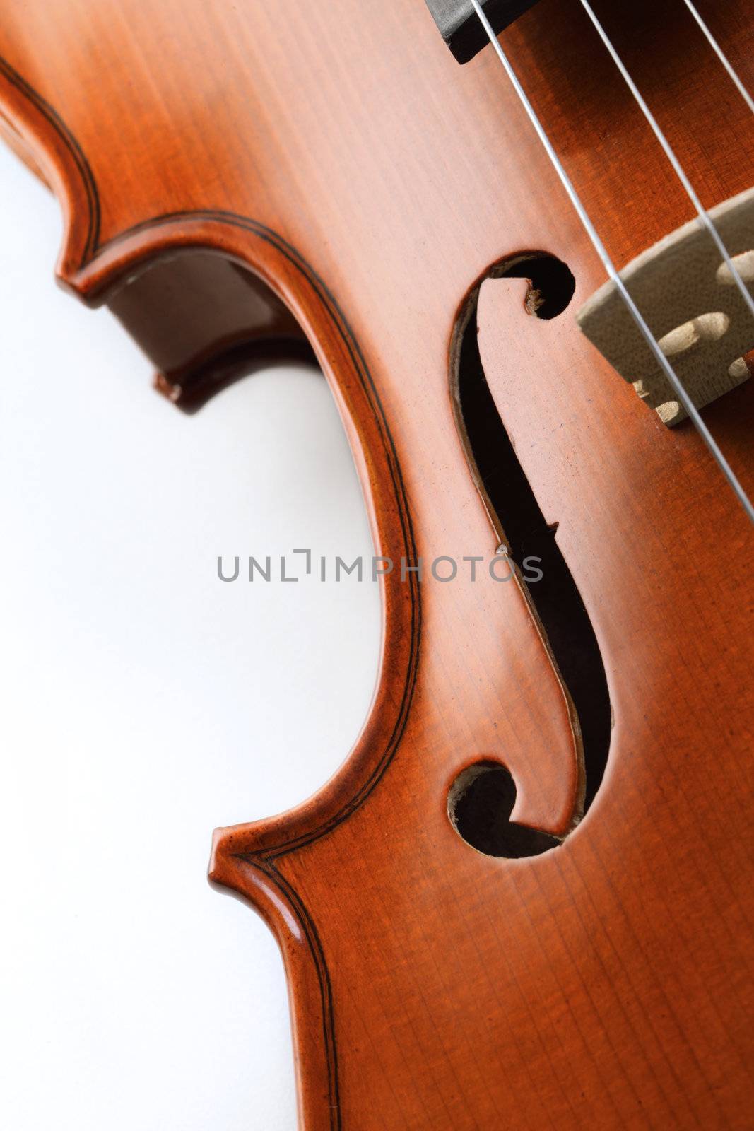 close up shot of a violin