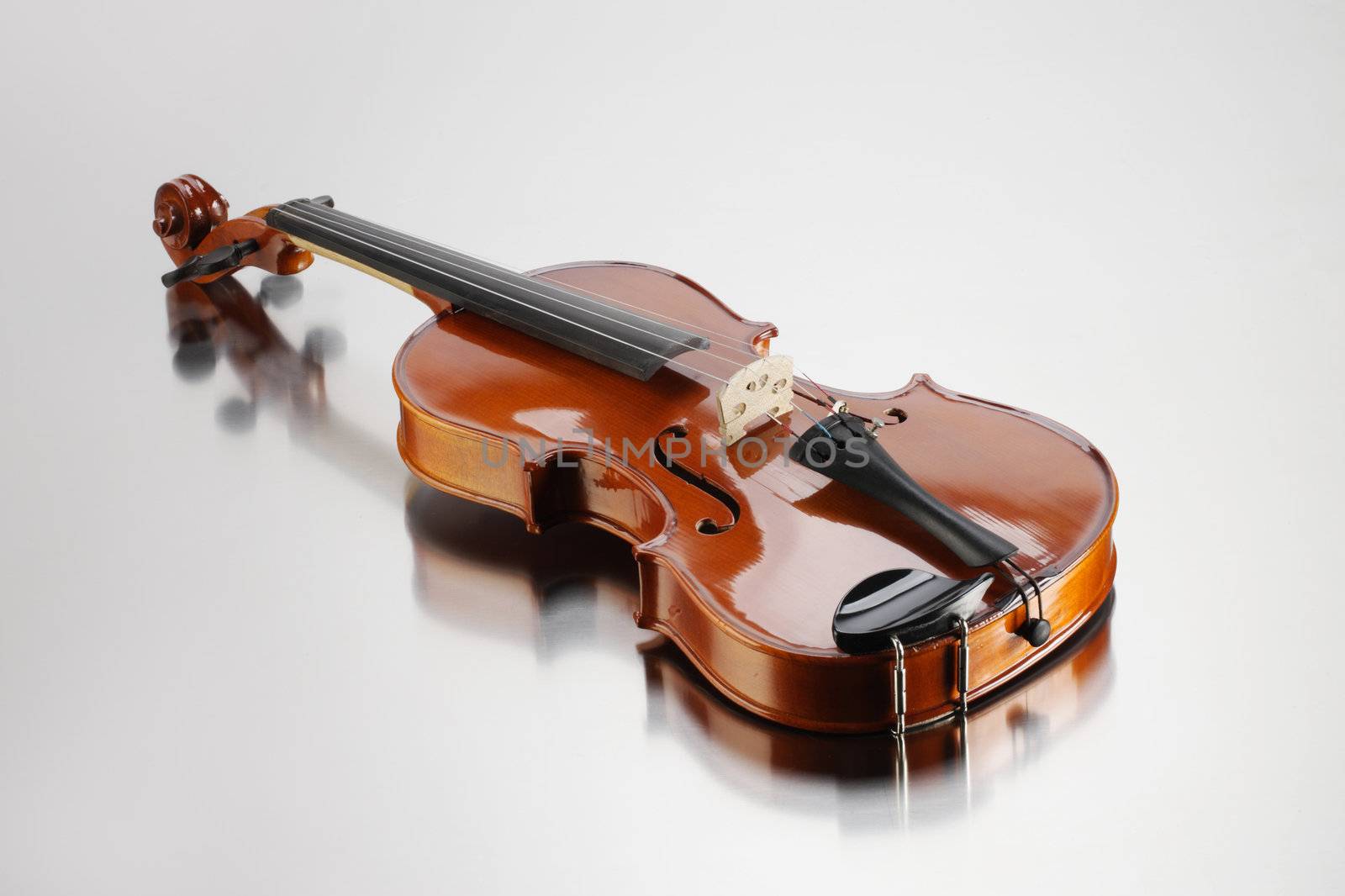 Elegant shot of a violin