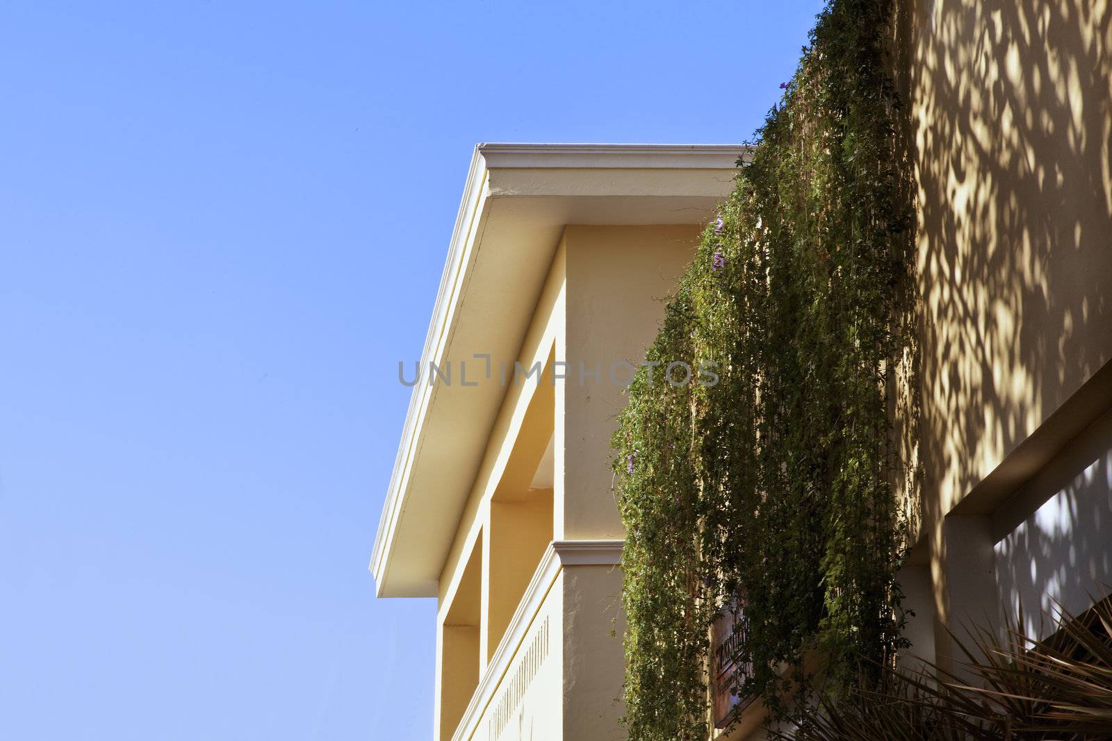 Generic architecture in Rajashtan India with first roof, roof terrace with garden and over hanging wall plants