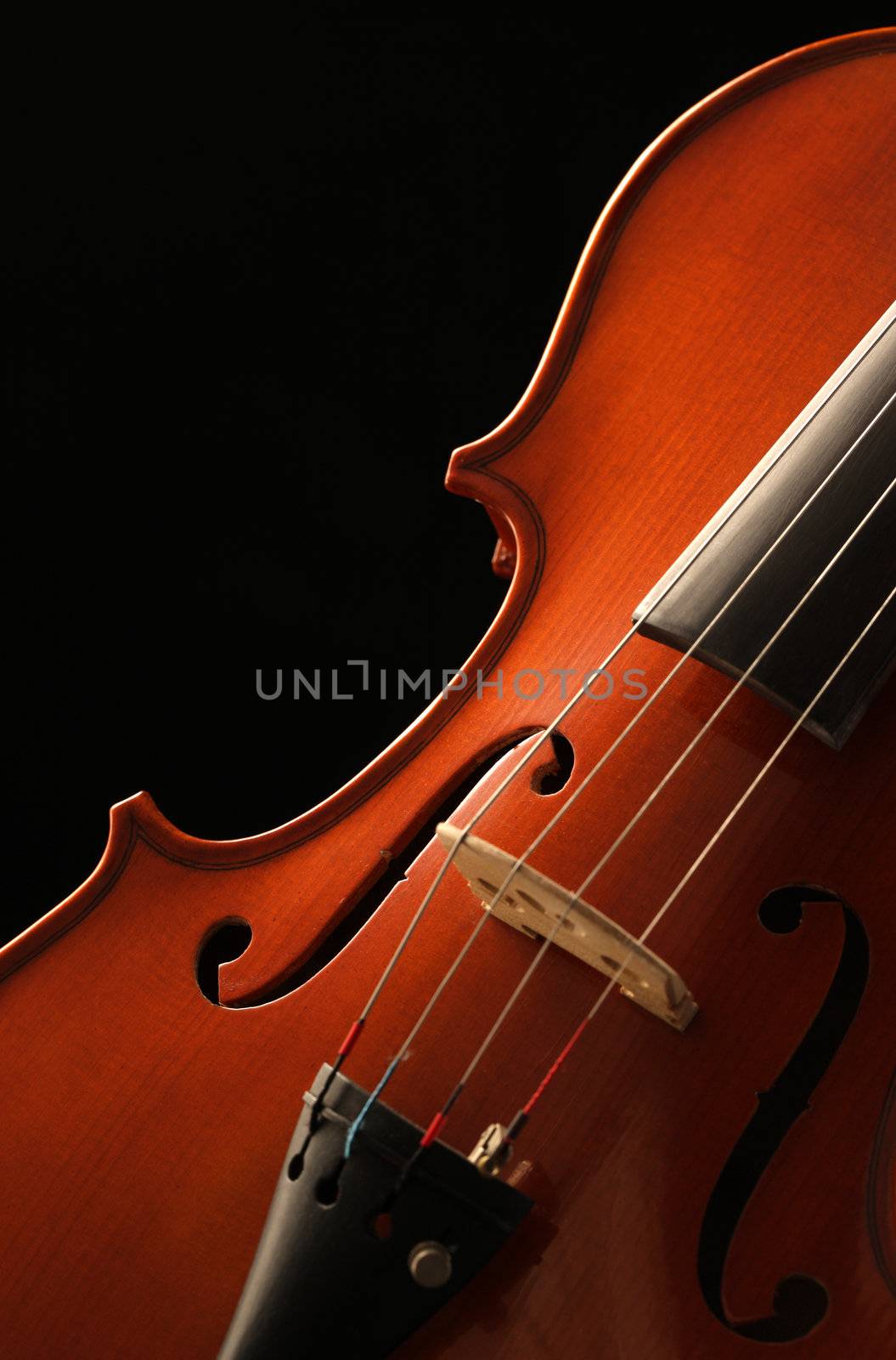 Elegant close up shot of a violin