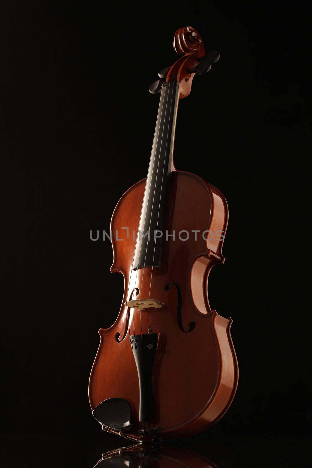 violin by stokkete