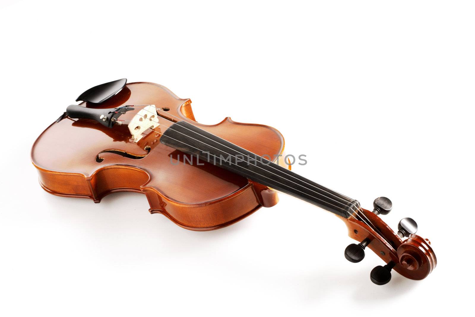 Elegant shot of a violin on white background