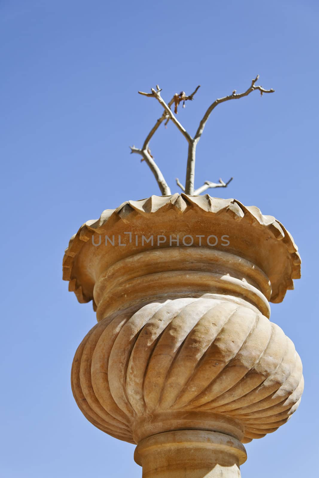 Portrait of Upward view point of indigenous Rajasthan stone carved and crafted plant pot with stick plant on a clear blue cloudless sky