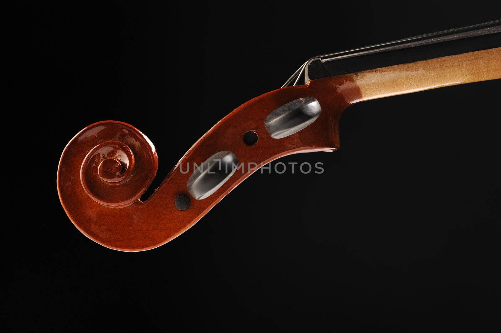 close up shot of a violin