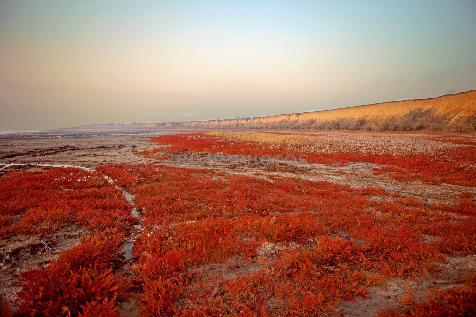 Dried-up salt lake at sunset at Kuyalnik lake