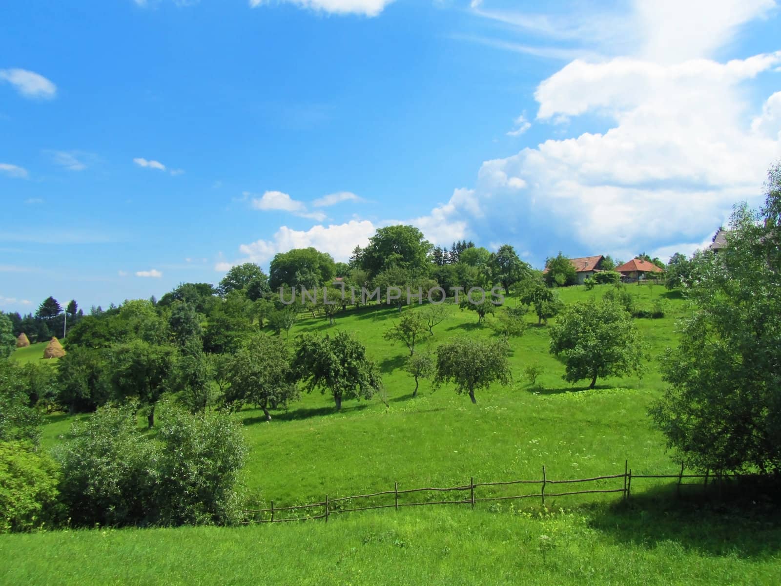 View of green hills with houses and trees                               