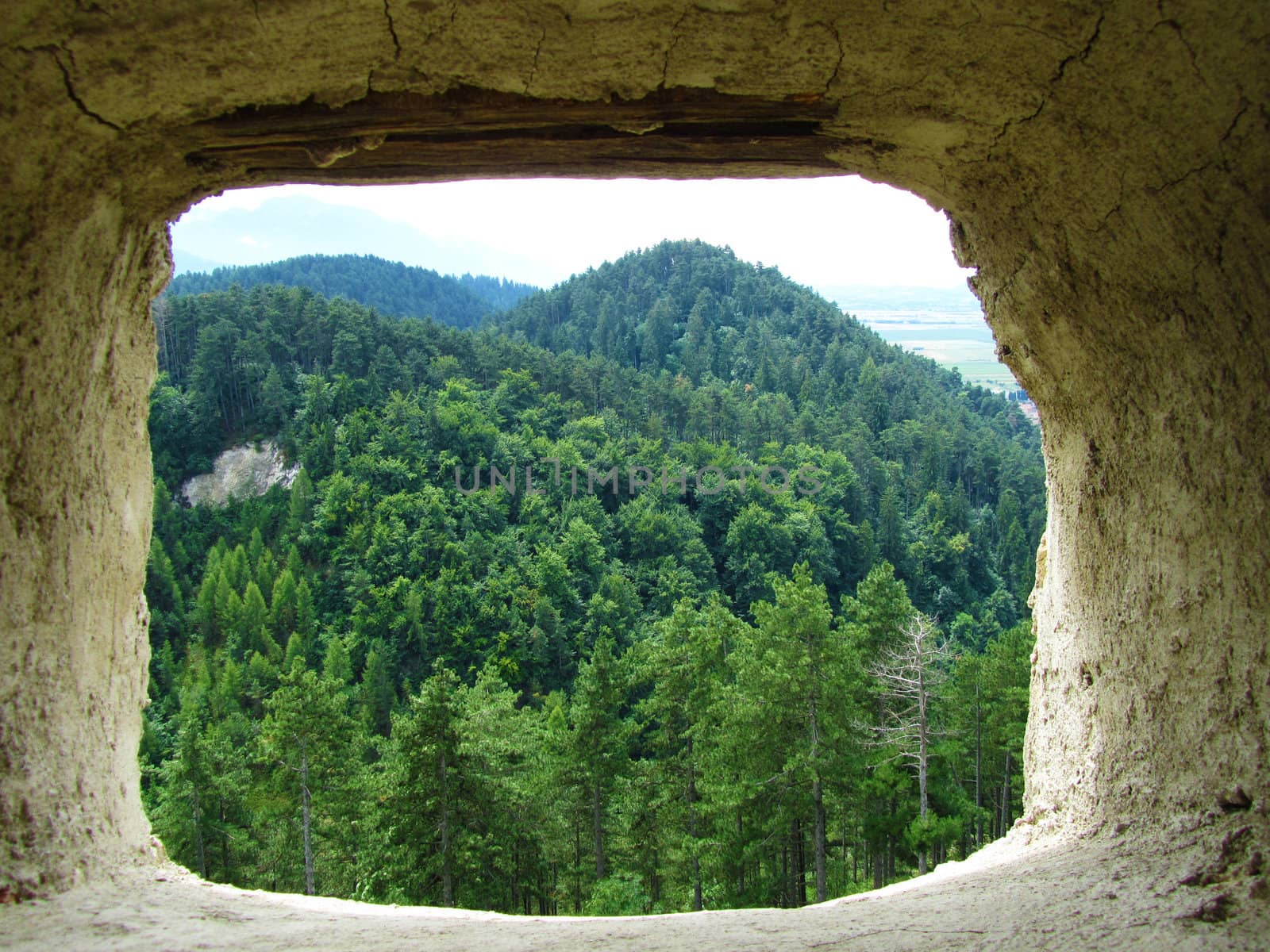  Panoramic view of a forest trough a window in a stonewall                              